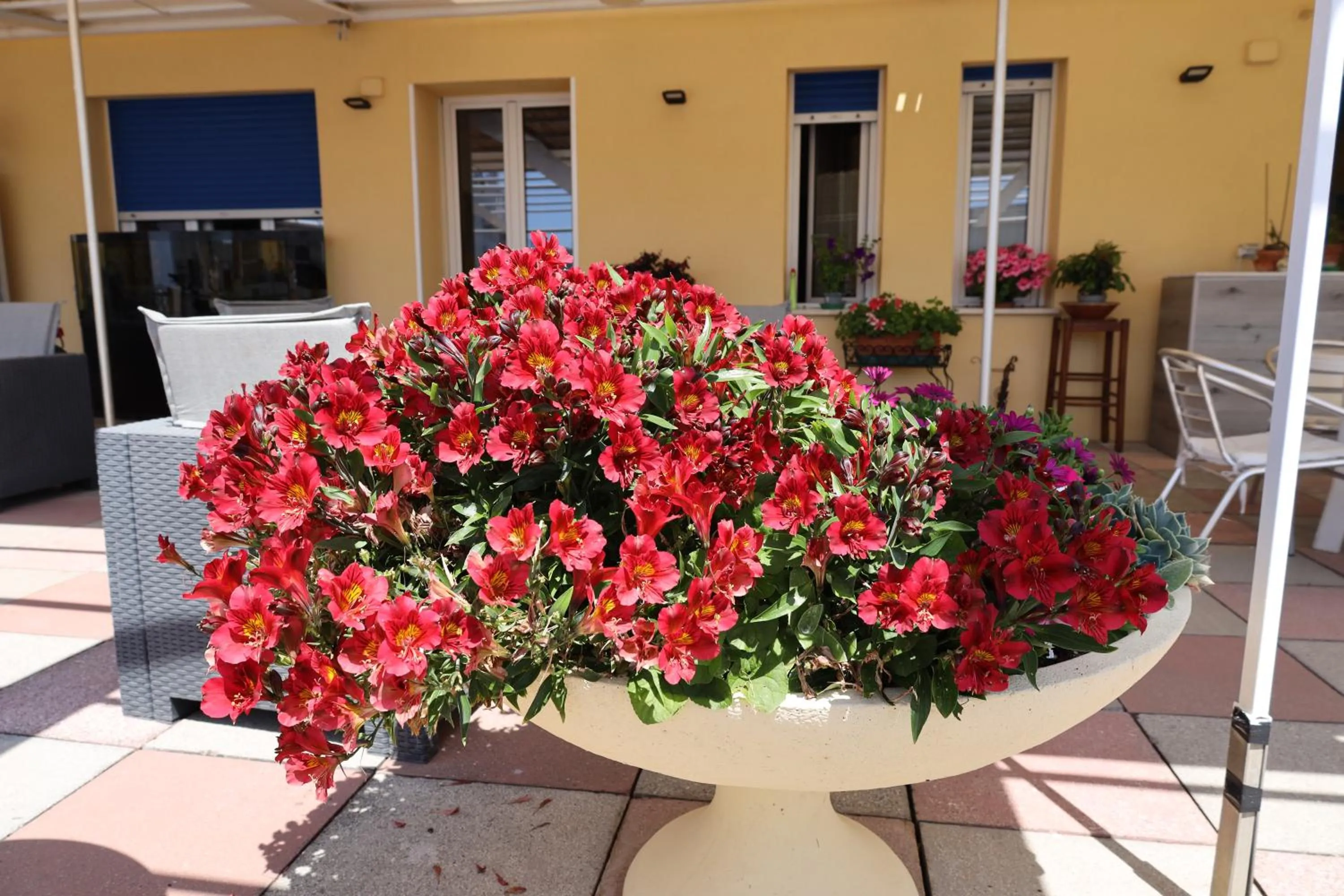 Balcony/Terrace in Albergo Stella Di Mare