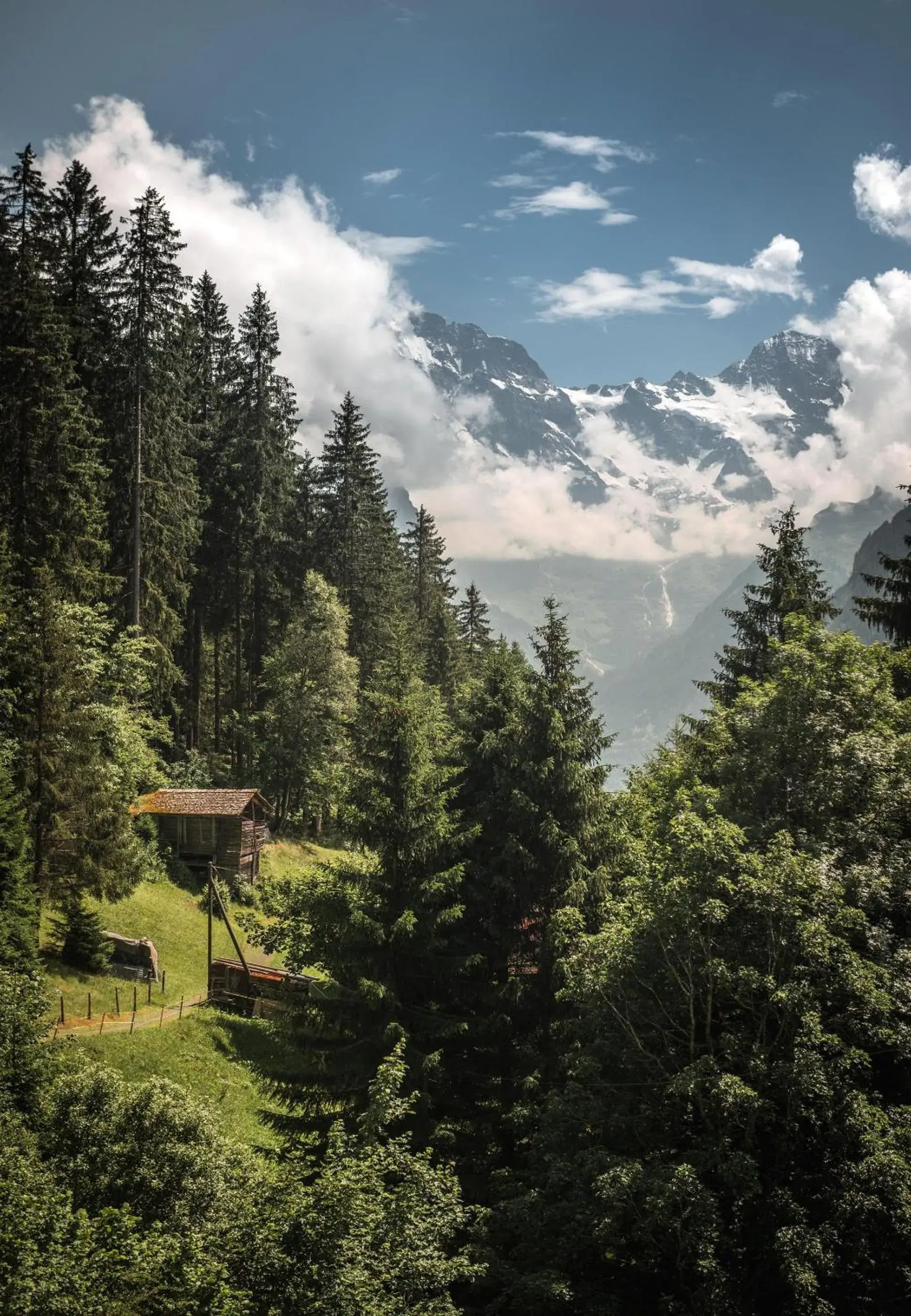 Hotel Edelweiss Hotel Edelweiss