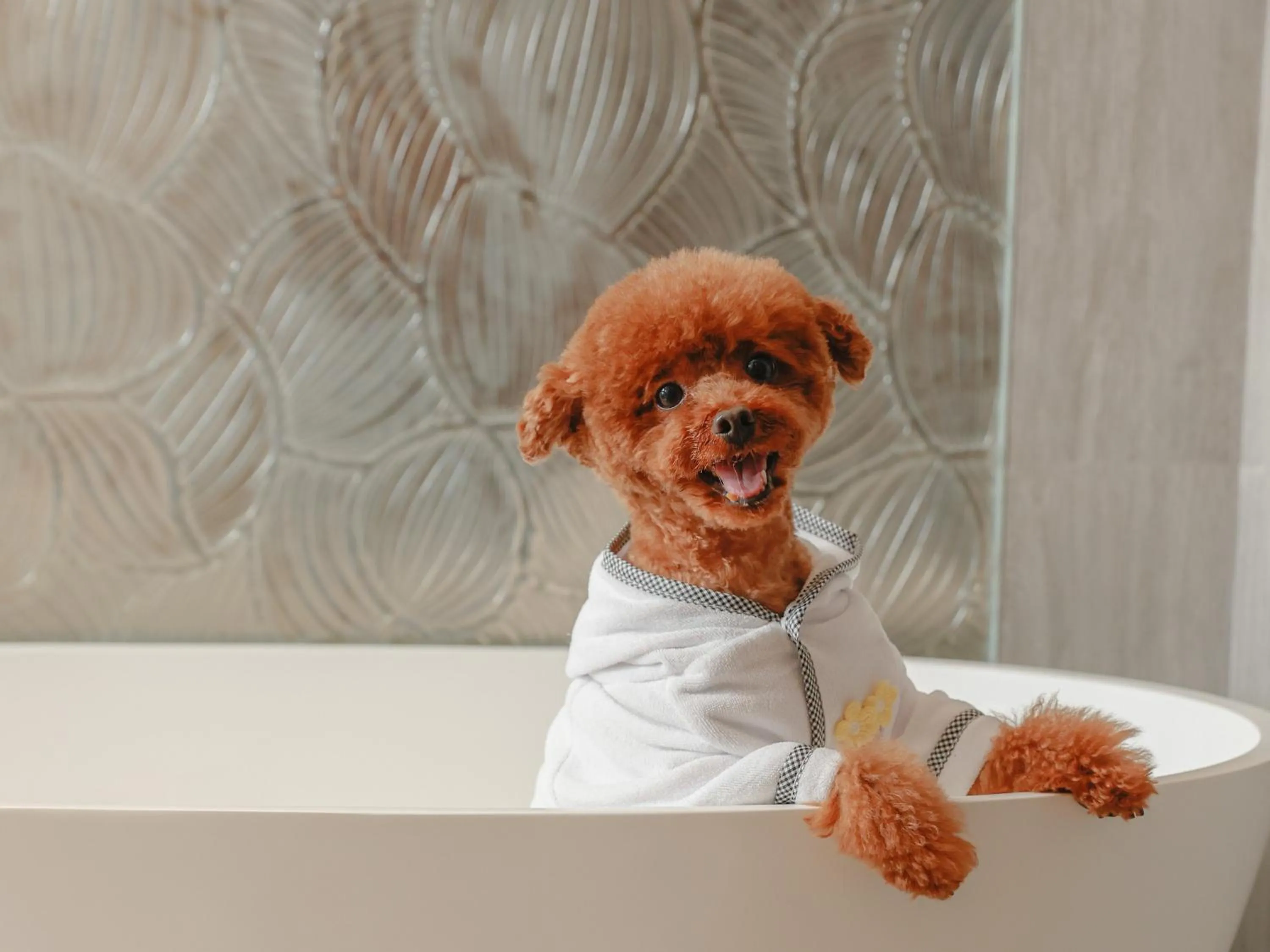 Pets in WM Hotel Hong Kong, Vignette Collection