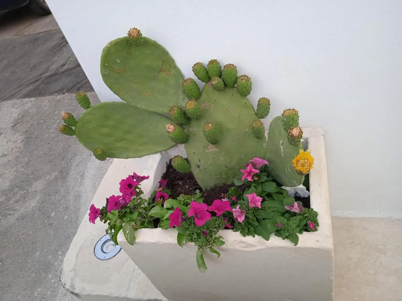 Property building in La Corte dei Sogni