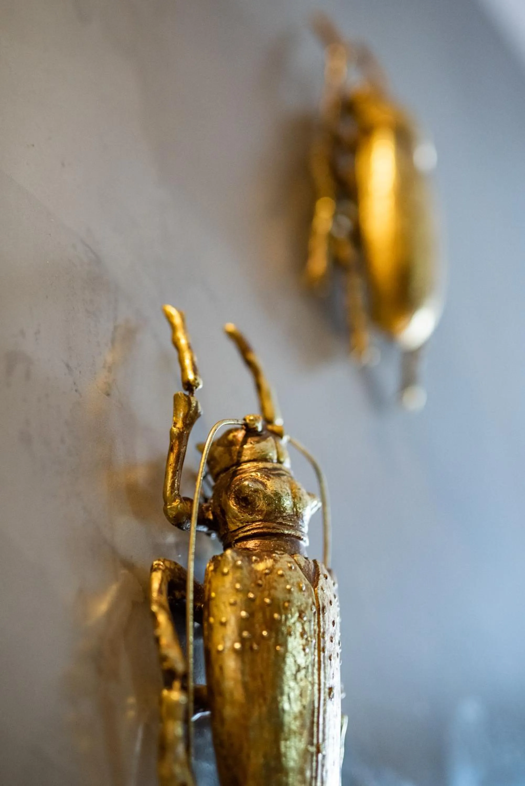 Decorative detail in Colégio Charm House