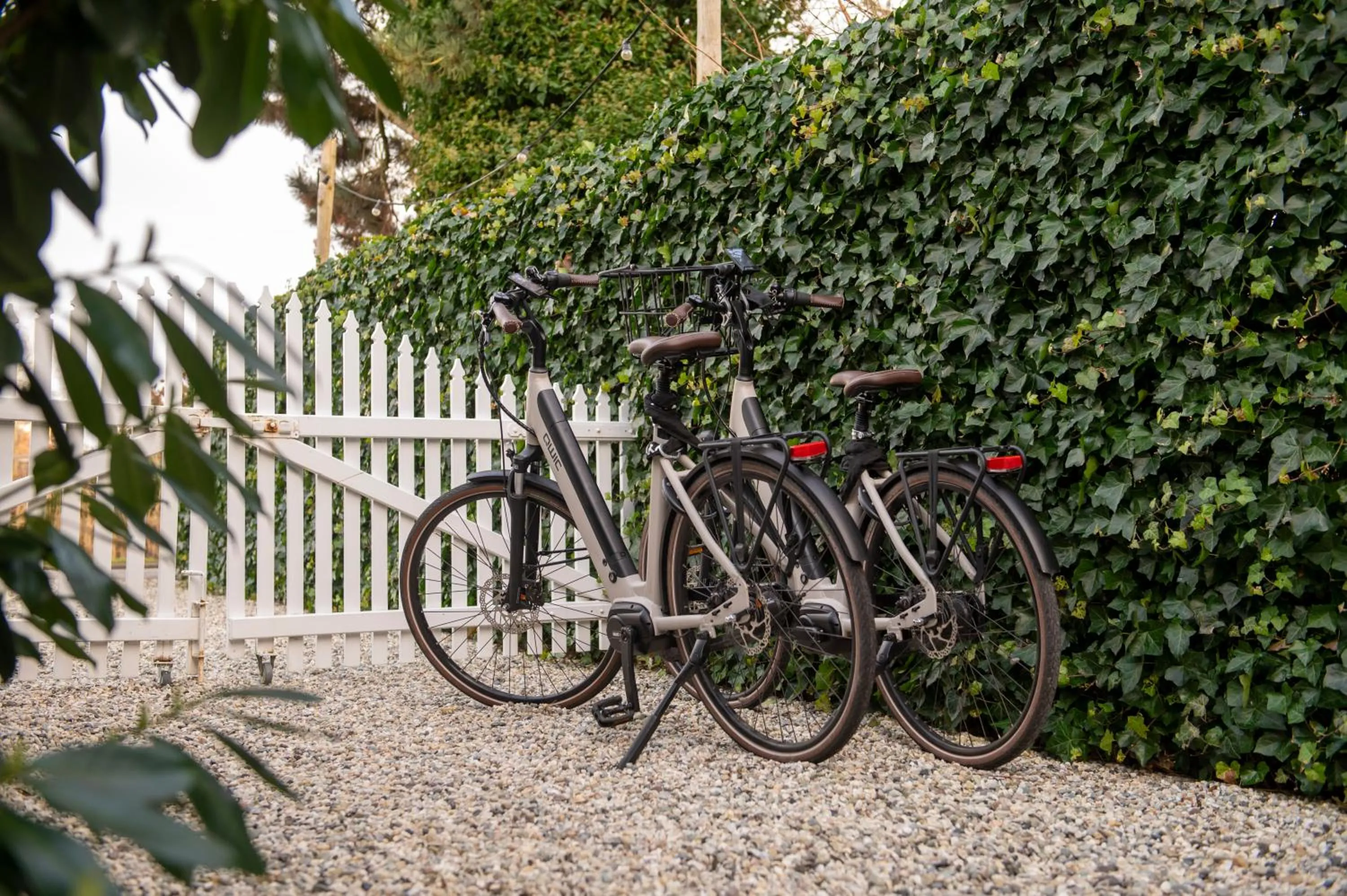 Cycling in LODGE & LOFT