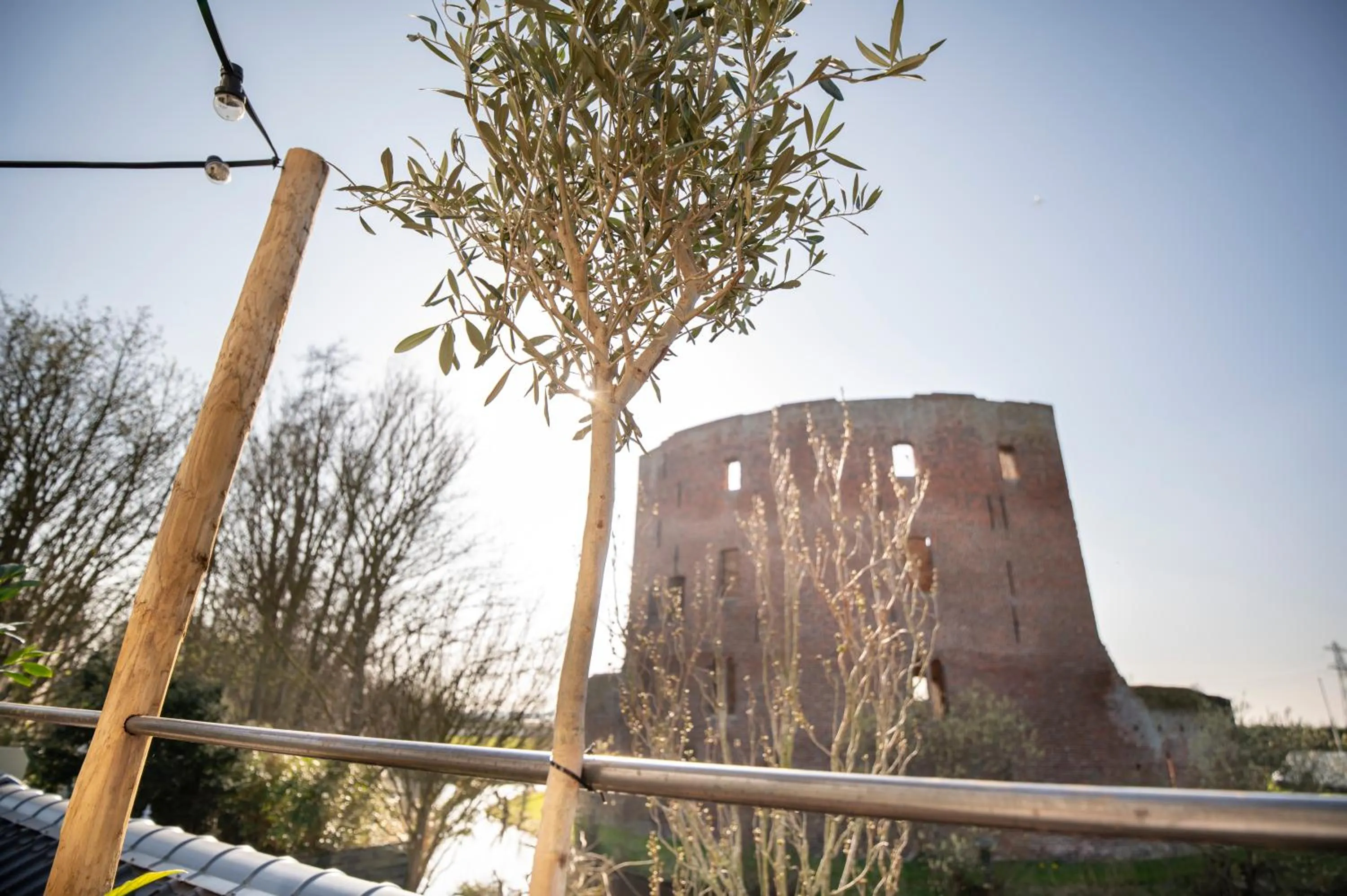 Garden in LODGE & LOFT