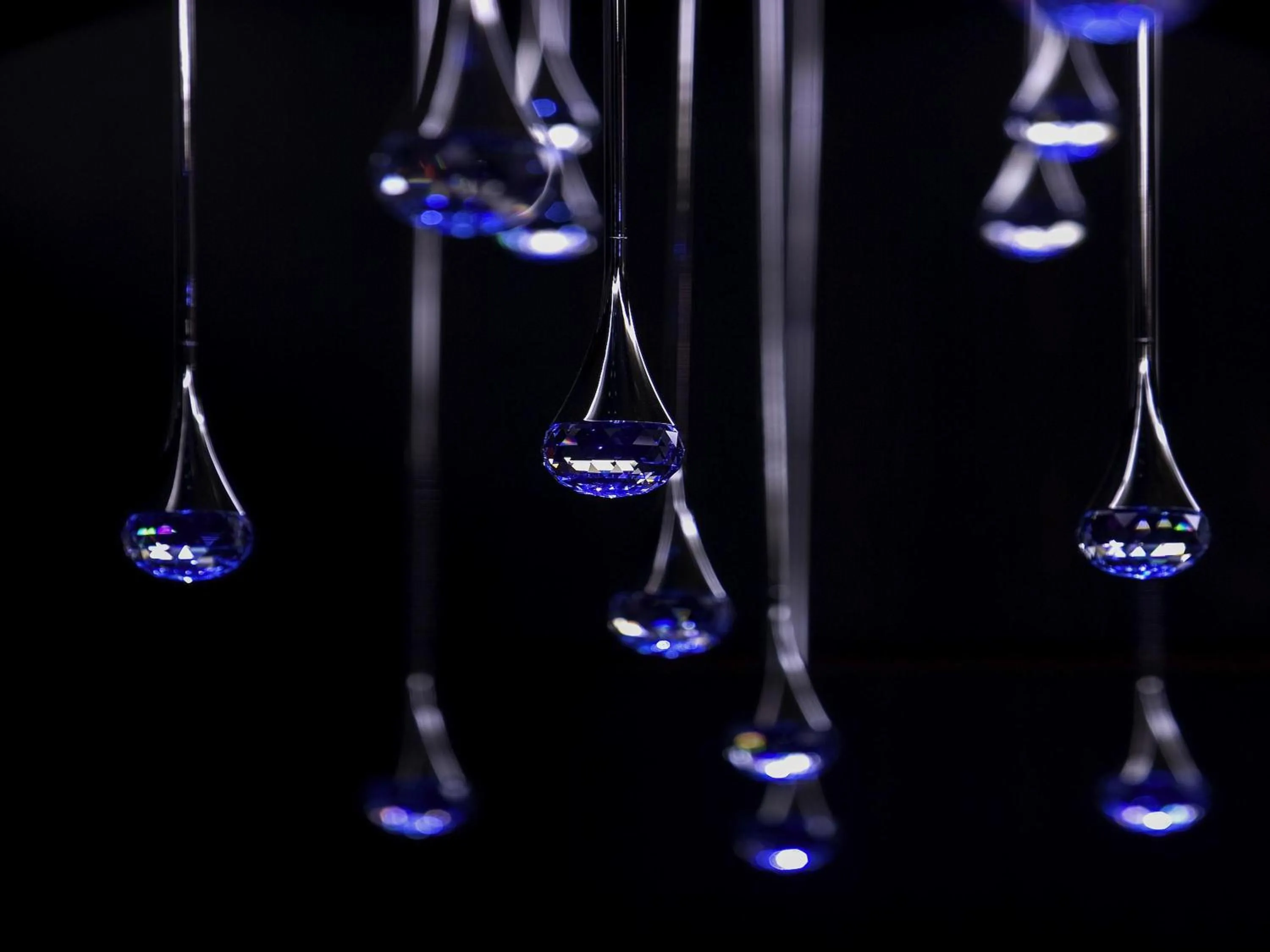 Restaurant/places to eat in La Cigale Hotel Managed by Accor