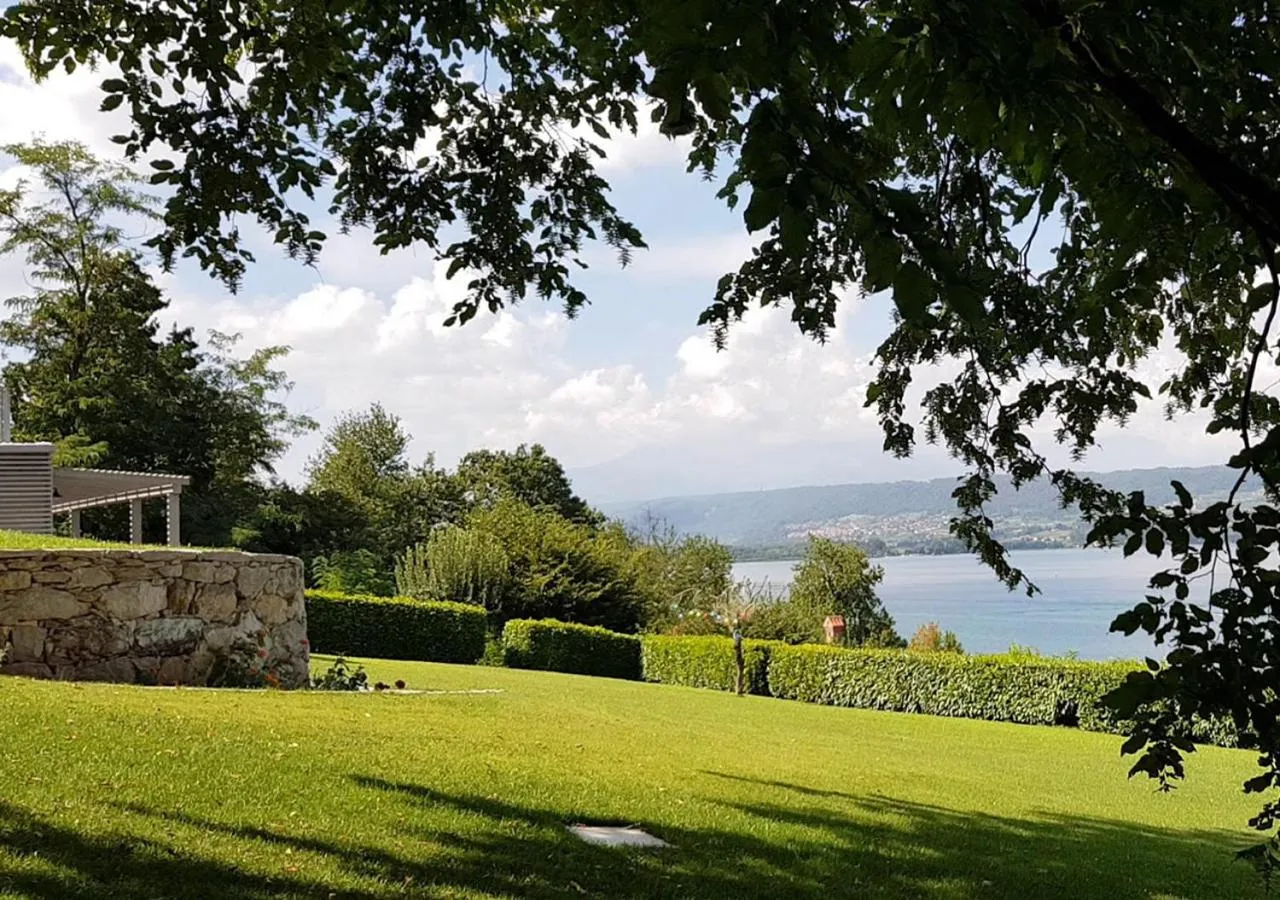 Natural landscape in The Lake House