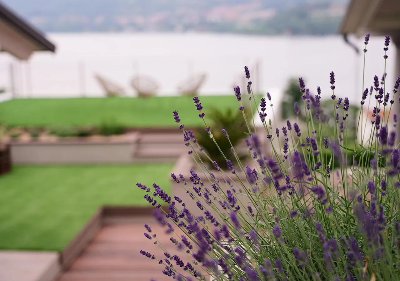 Garden in The Lake House