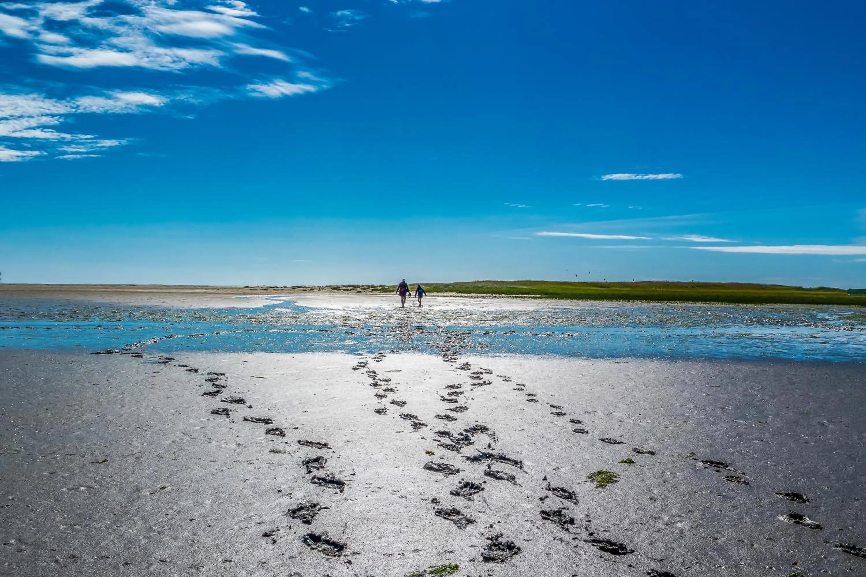 Off site in Der Mühlenhof