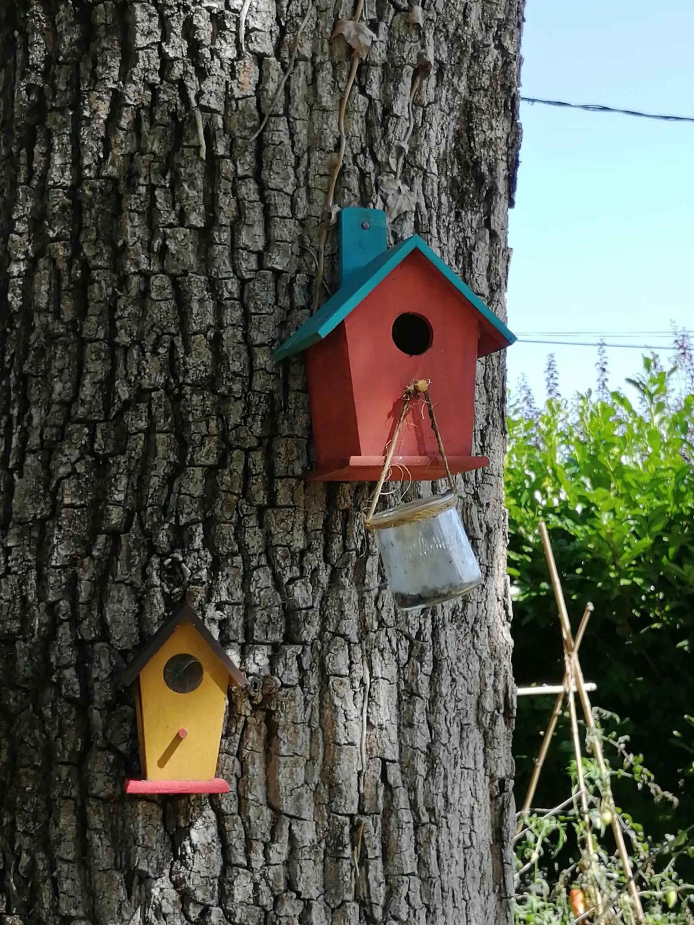 Decorative detail in VILLA XARAN ERDIAN Gîte LA PETITE MAISON