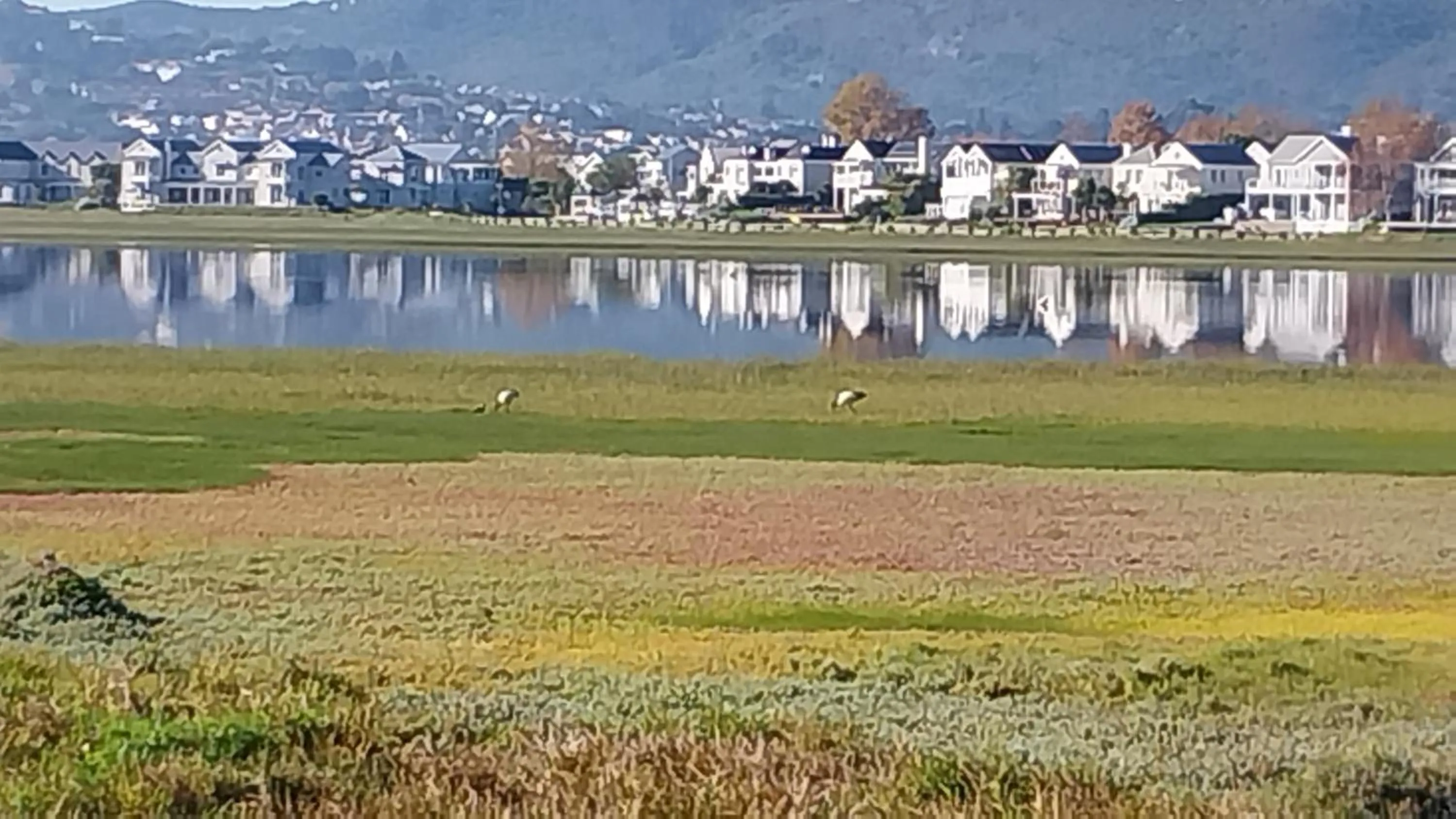 Lake view in Knysna Estate Lagoon - Garden Apartments- Secure Estate - off the grid