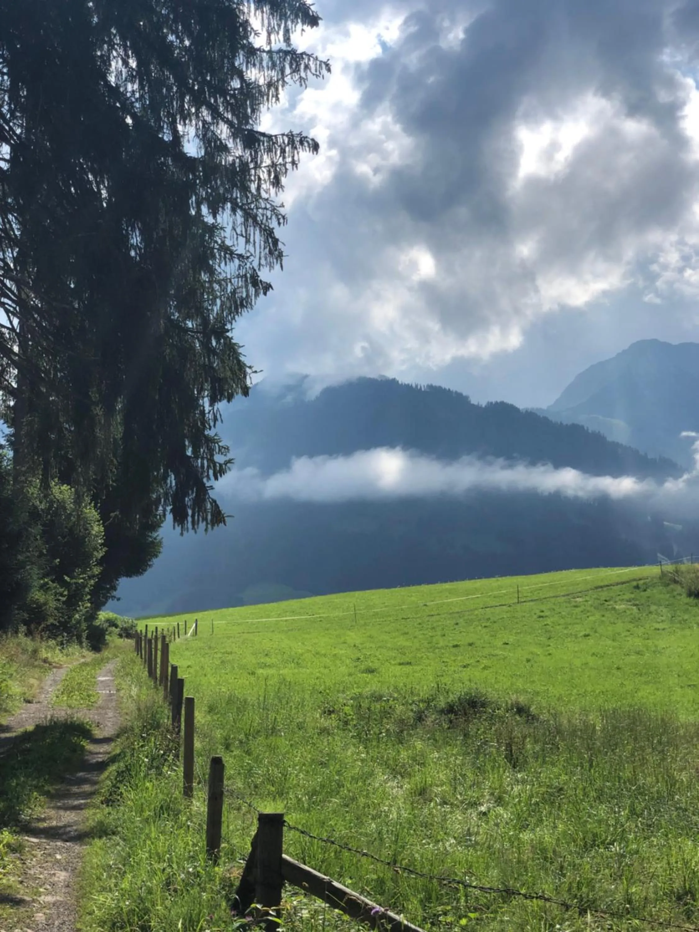 Summer in Hotel garni Oberdorfer Stuben