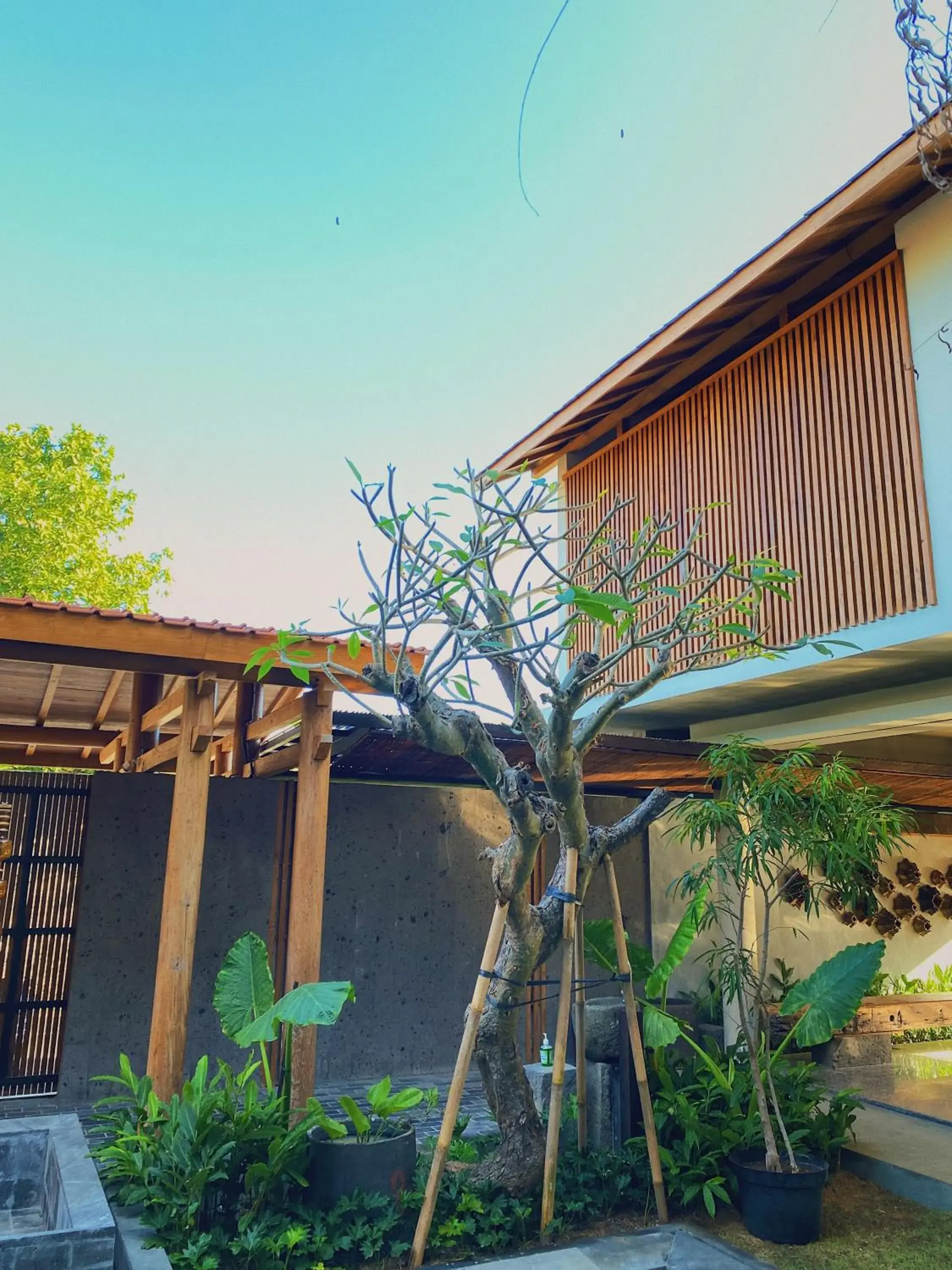 Property building in Tekuni 2 Property building in Tekuni 2