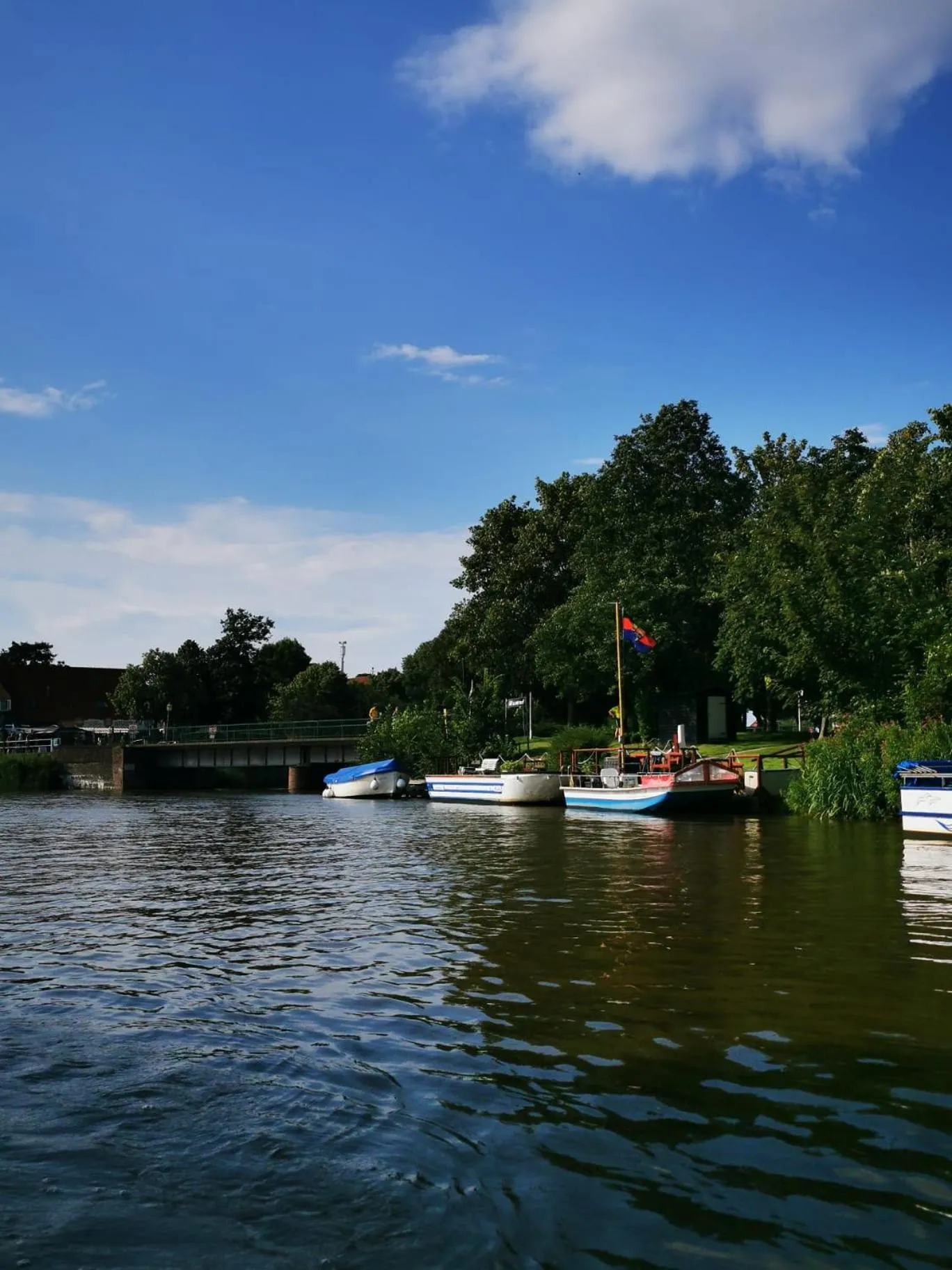 Natural landscape in Hotel Am Deich