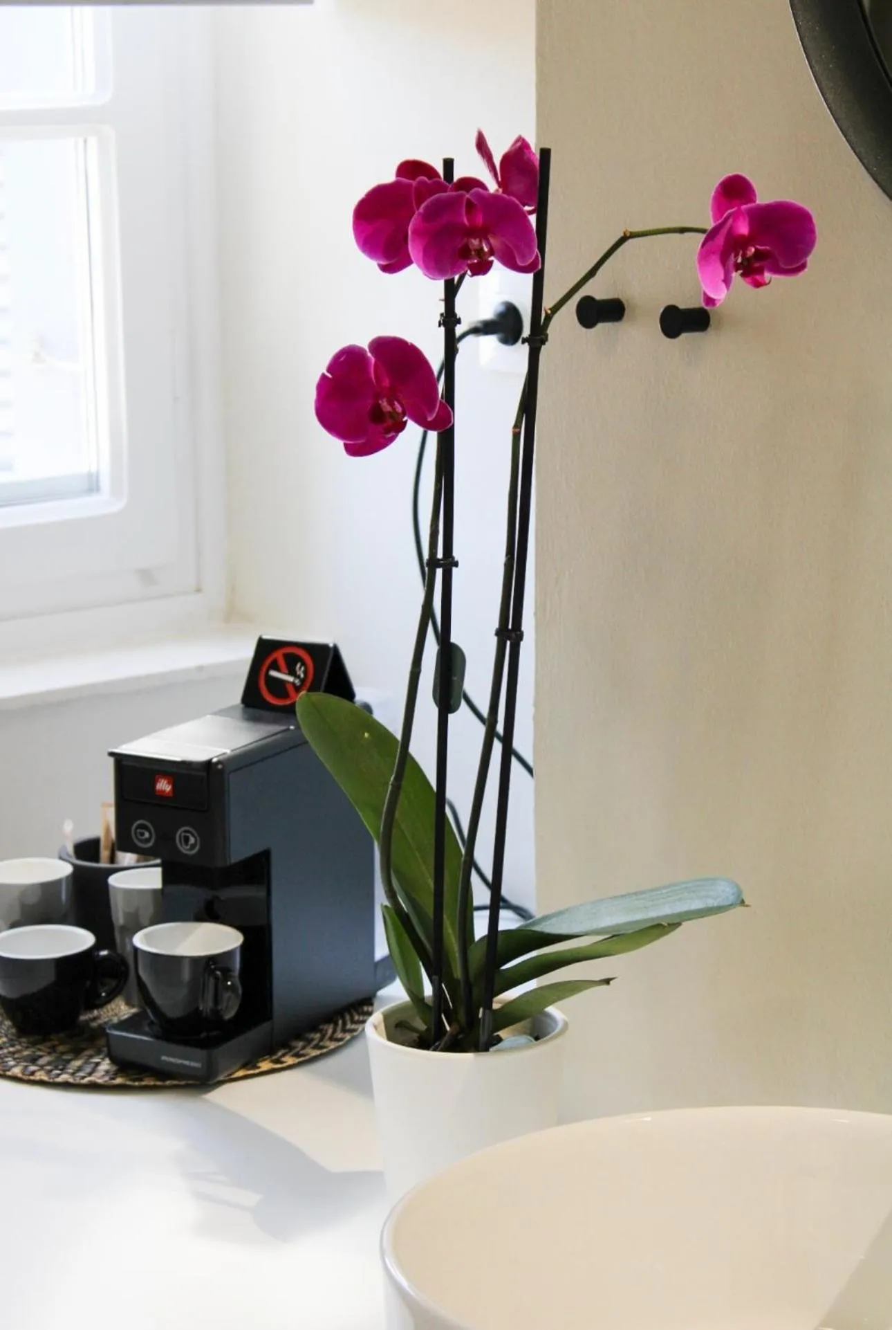 OIKO MINI SUITES