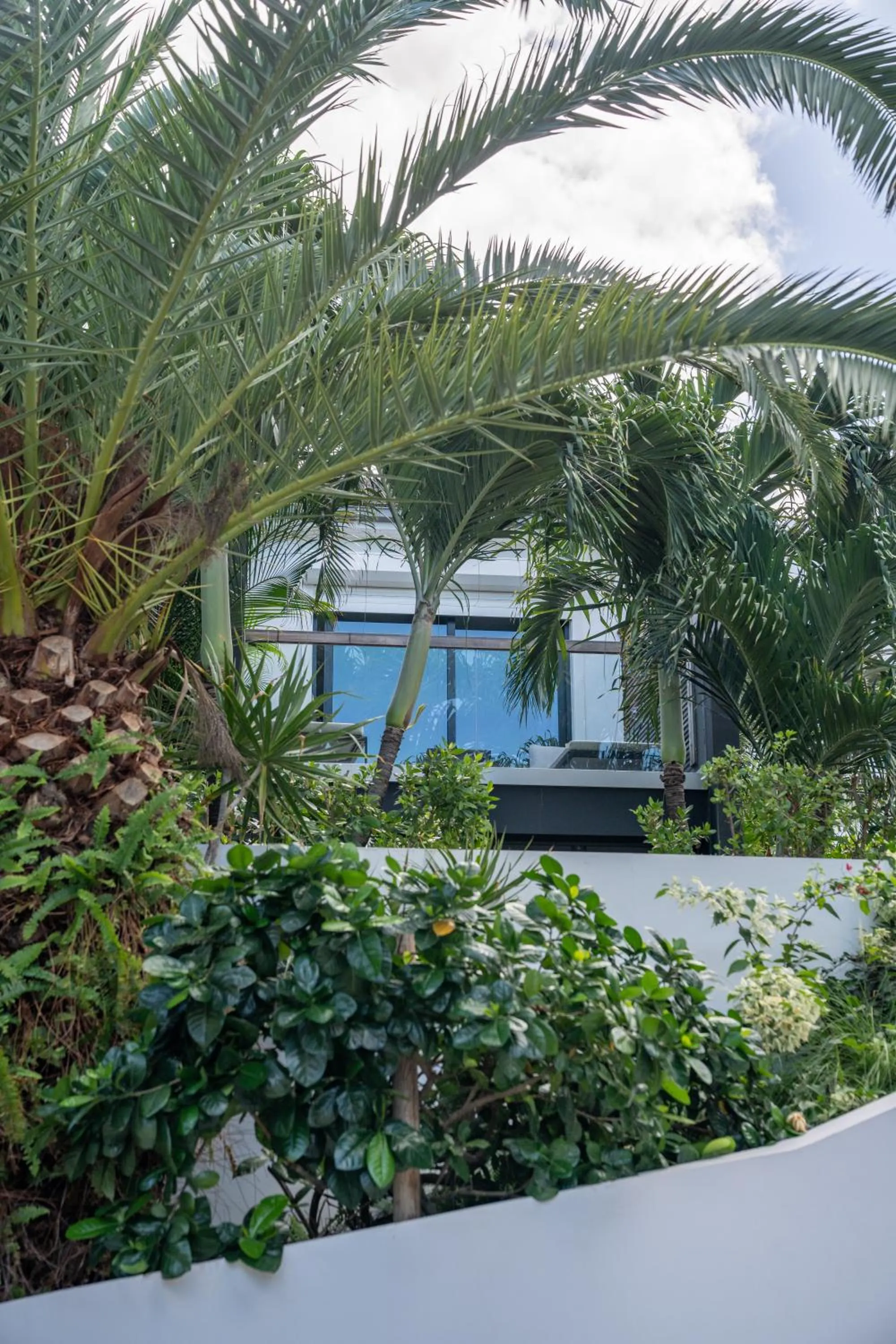 Garden in Rêve de Saint Barth - Vue Mer - Piscine Chauffée & Jacuzzi