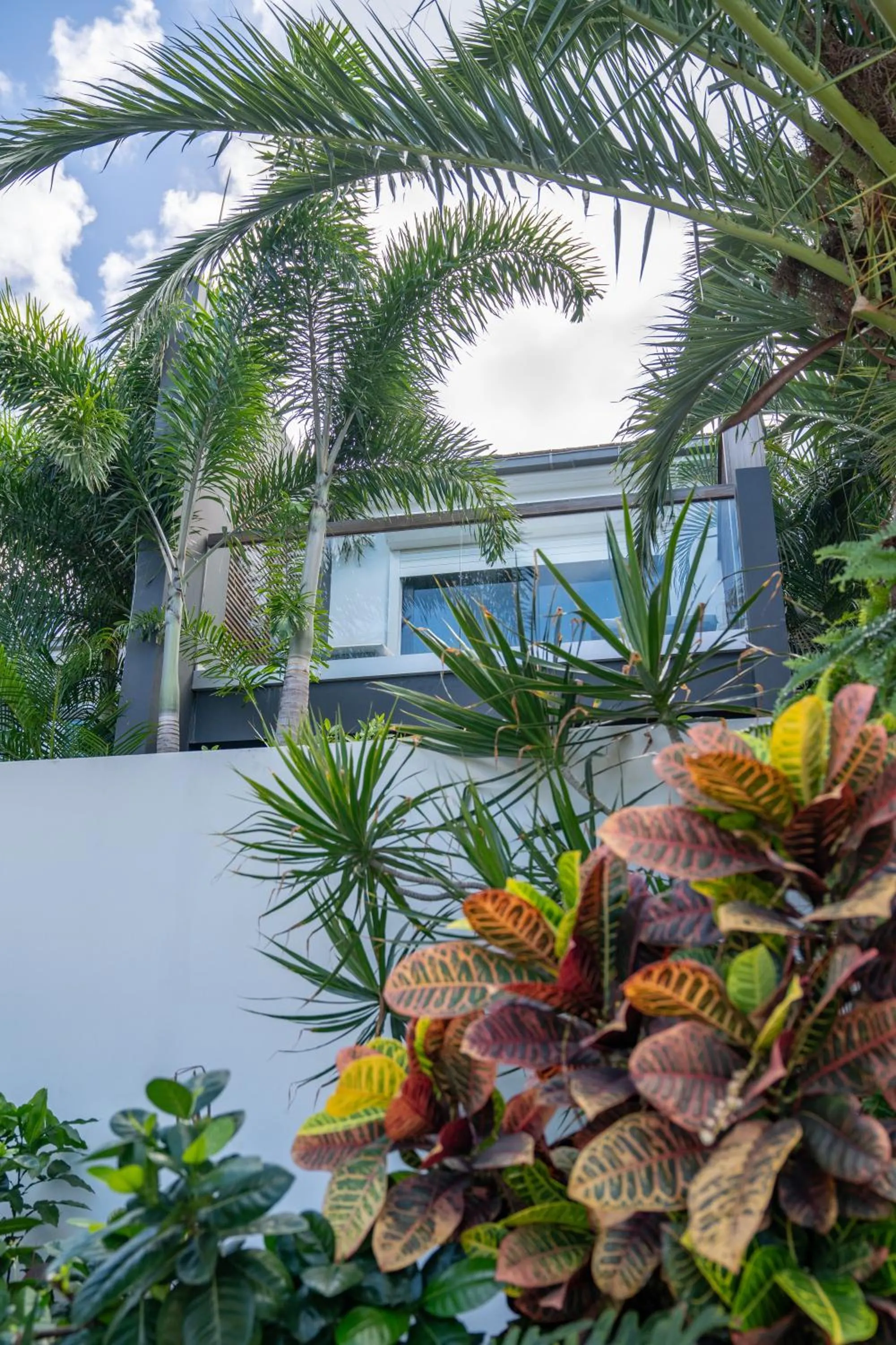 Garden in Rêve de Saint Barth - Vue Mer - Piscine Chauffée & Jacuzzi