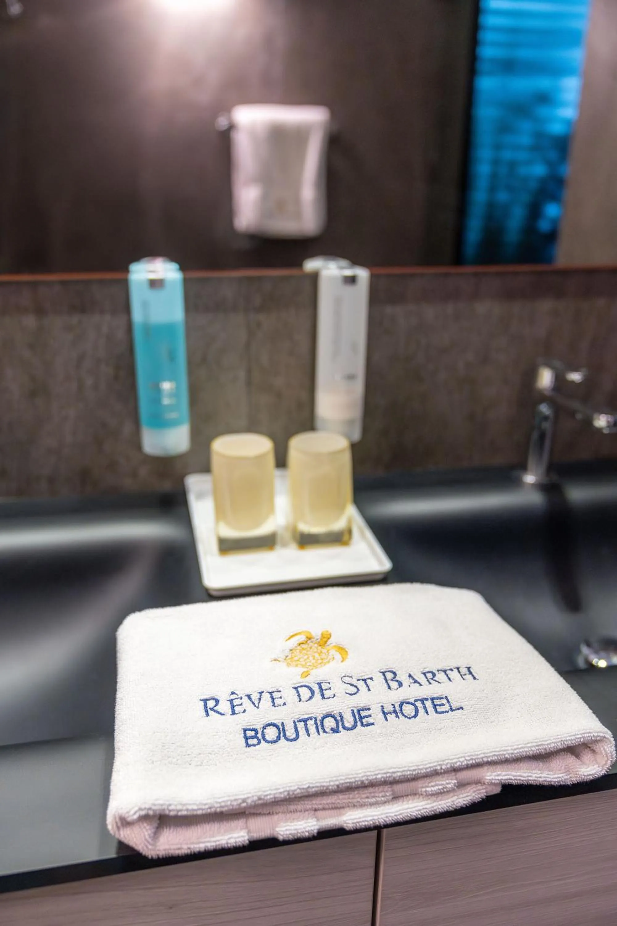 Bathroom in Rêve de Saint Barth - Vue Mer - Piscine Chauffée & Jacuzzi