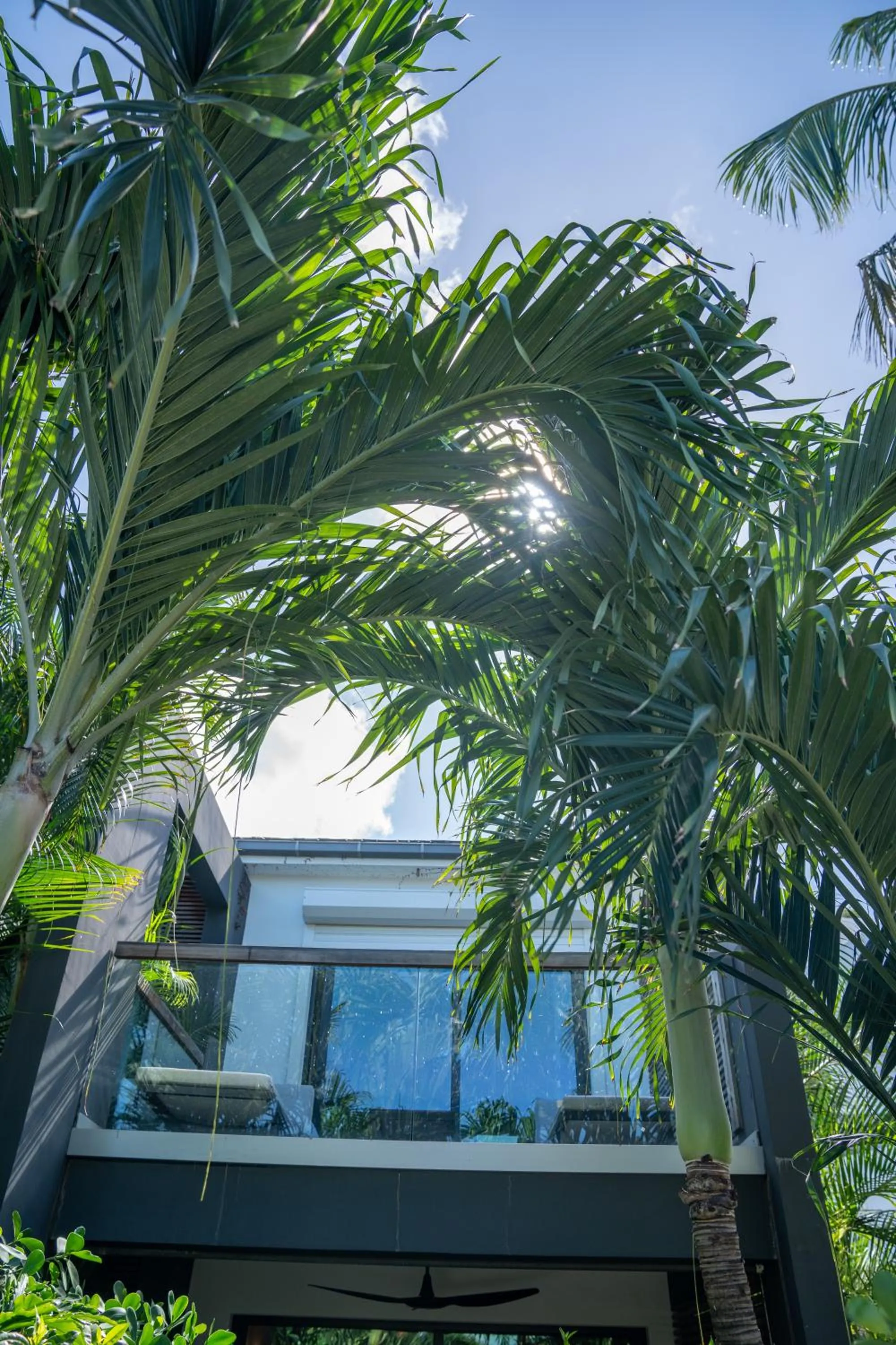 Natural landscape in Rêve de Saint Barth - Vue Mer - Piscine Chauffée & Jacuzzi