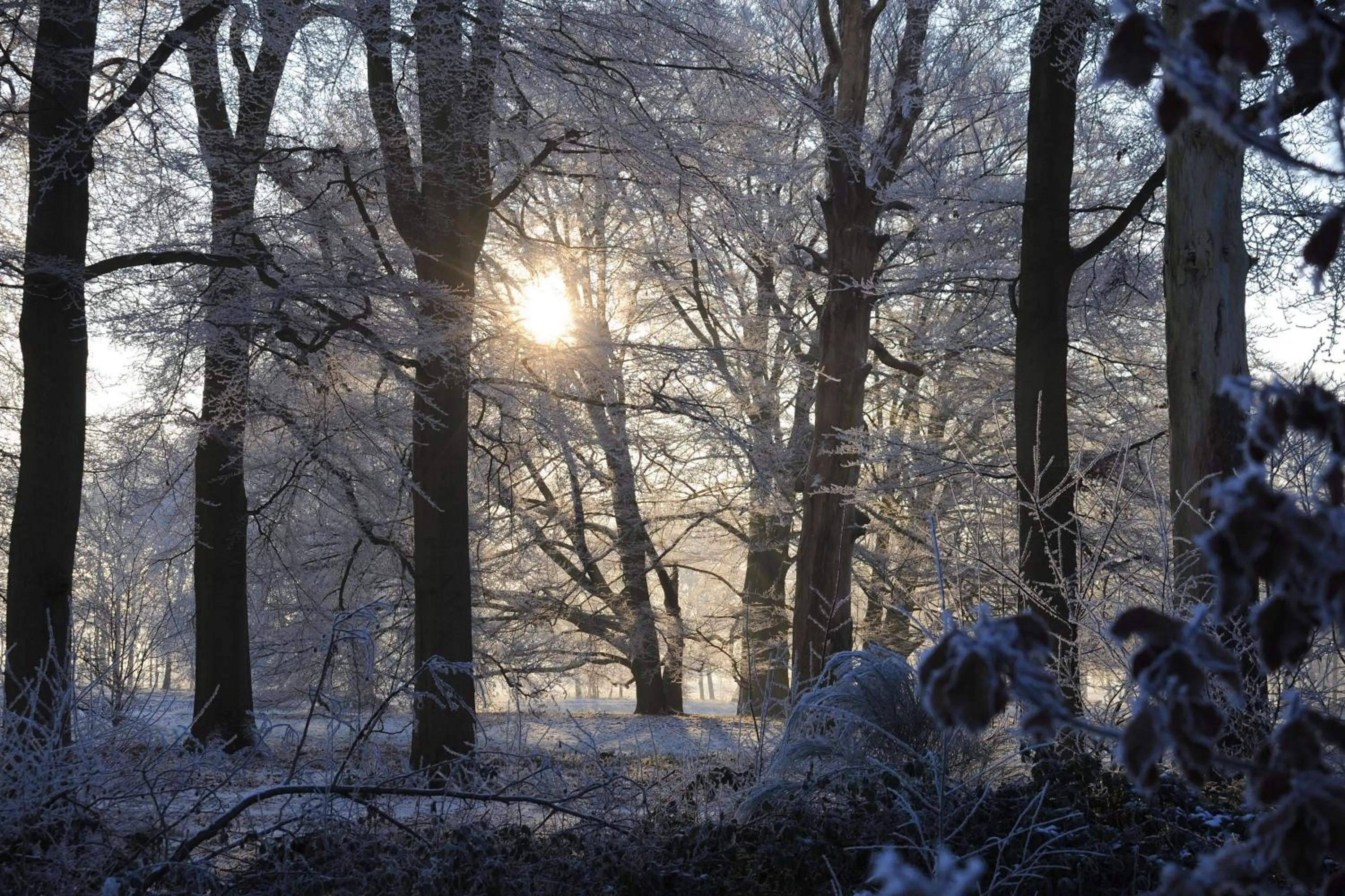 Winter in B & B De Elsterberg