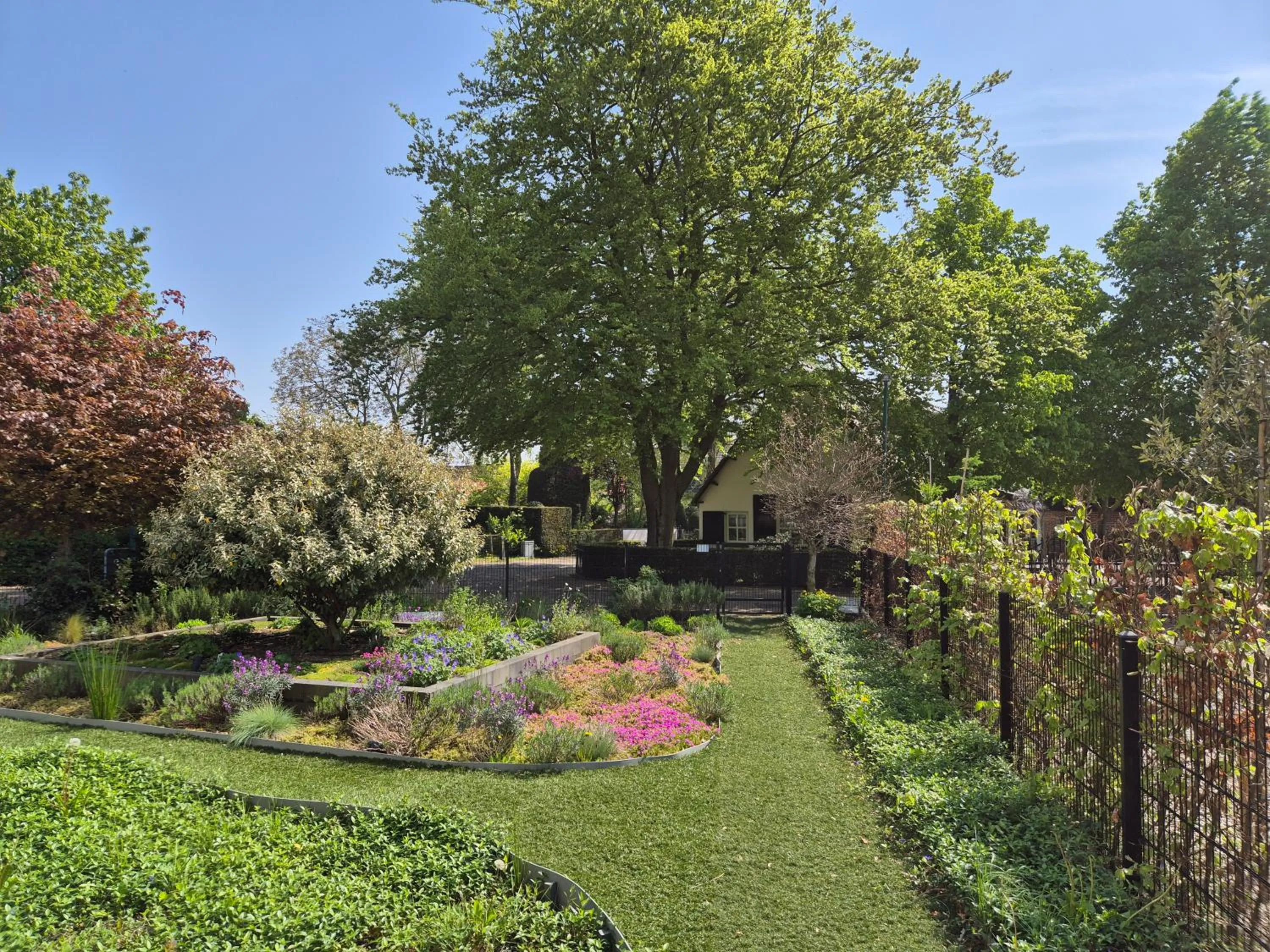 Garden in B & B De Elsterberg