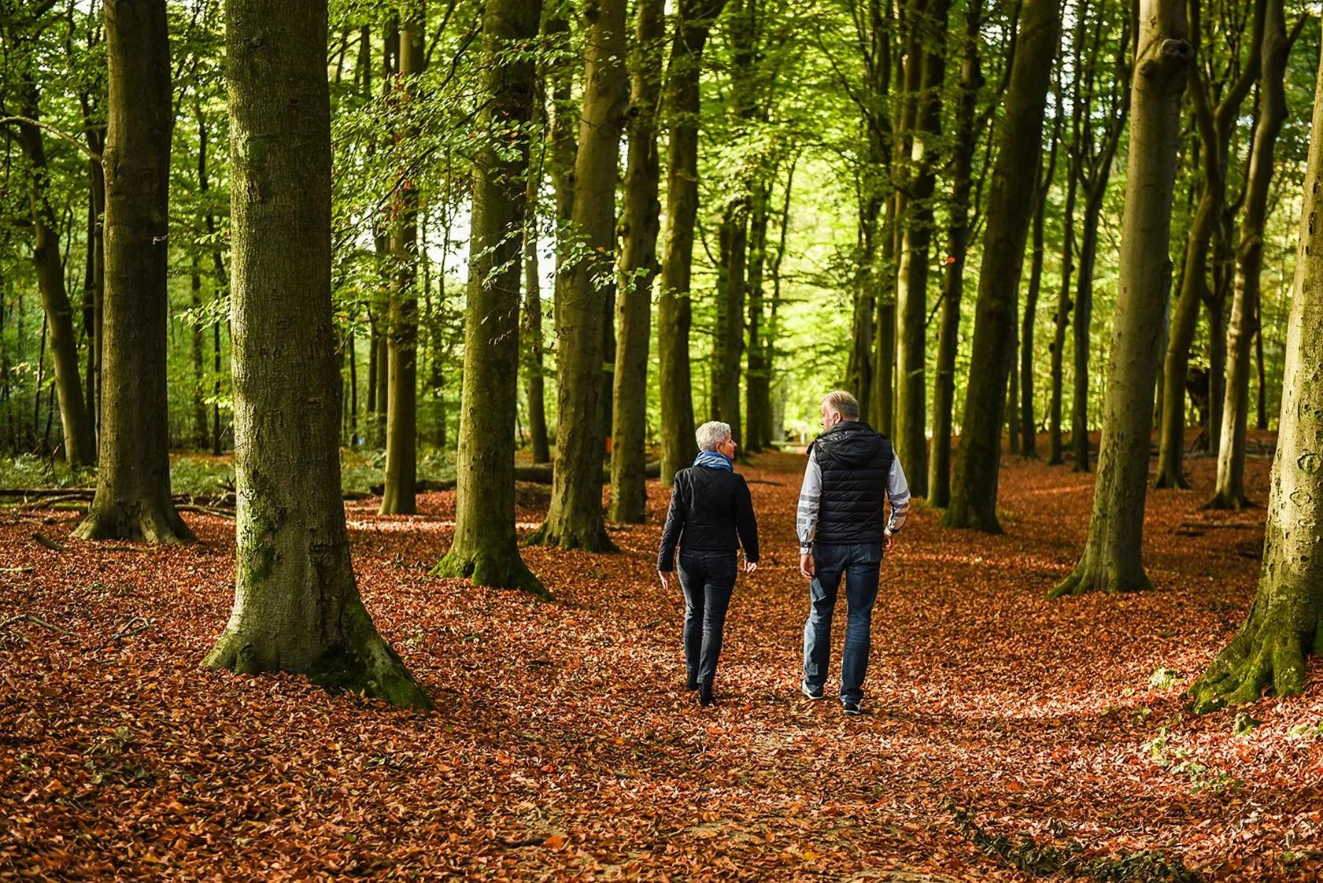 Natural landscape in B & B De Elsterberg