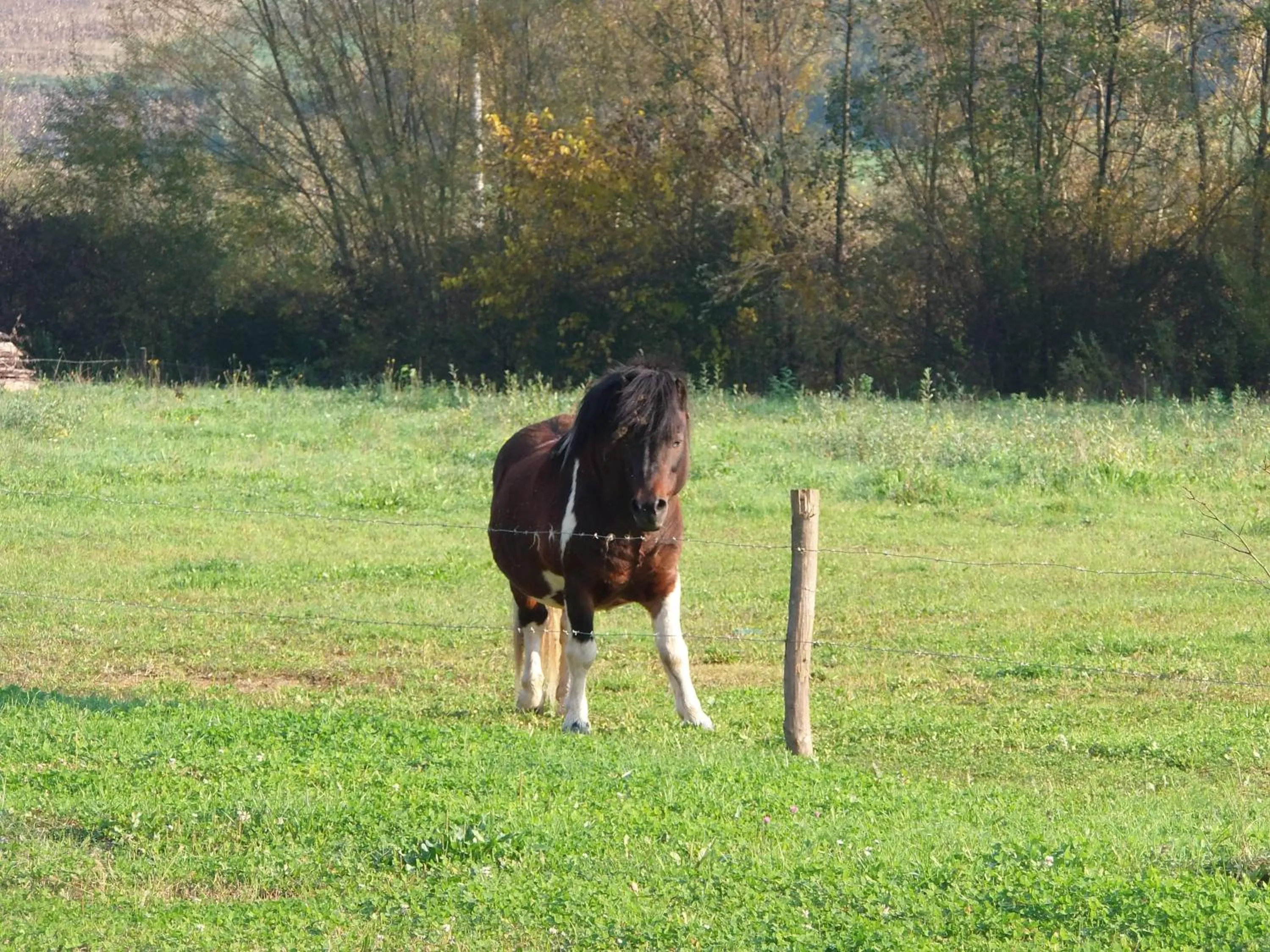 Other in Hotel Amarilis