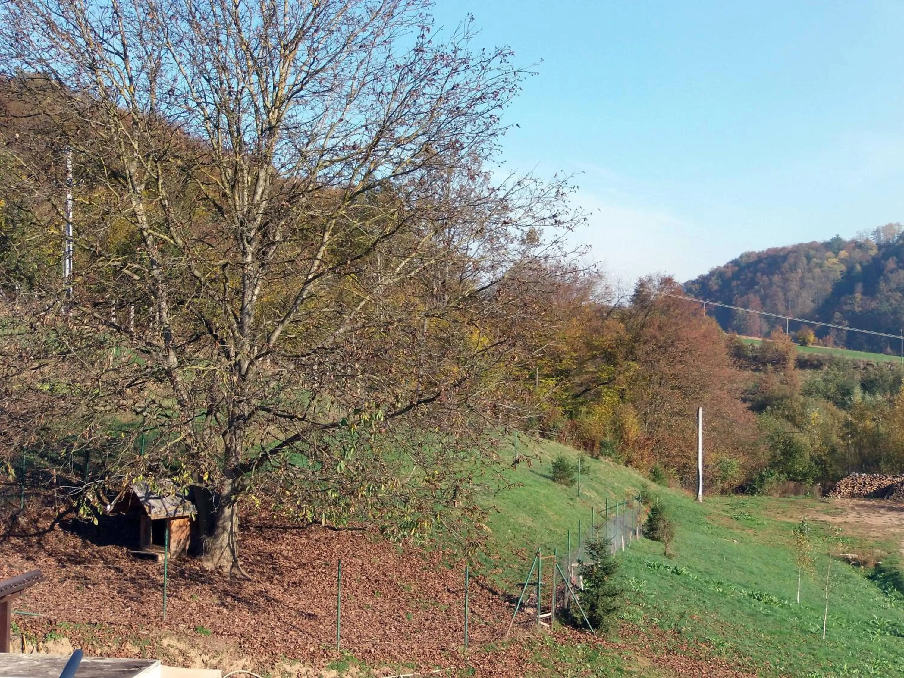 Natural landscape in Hotel Amarilis