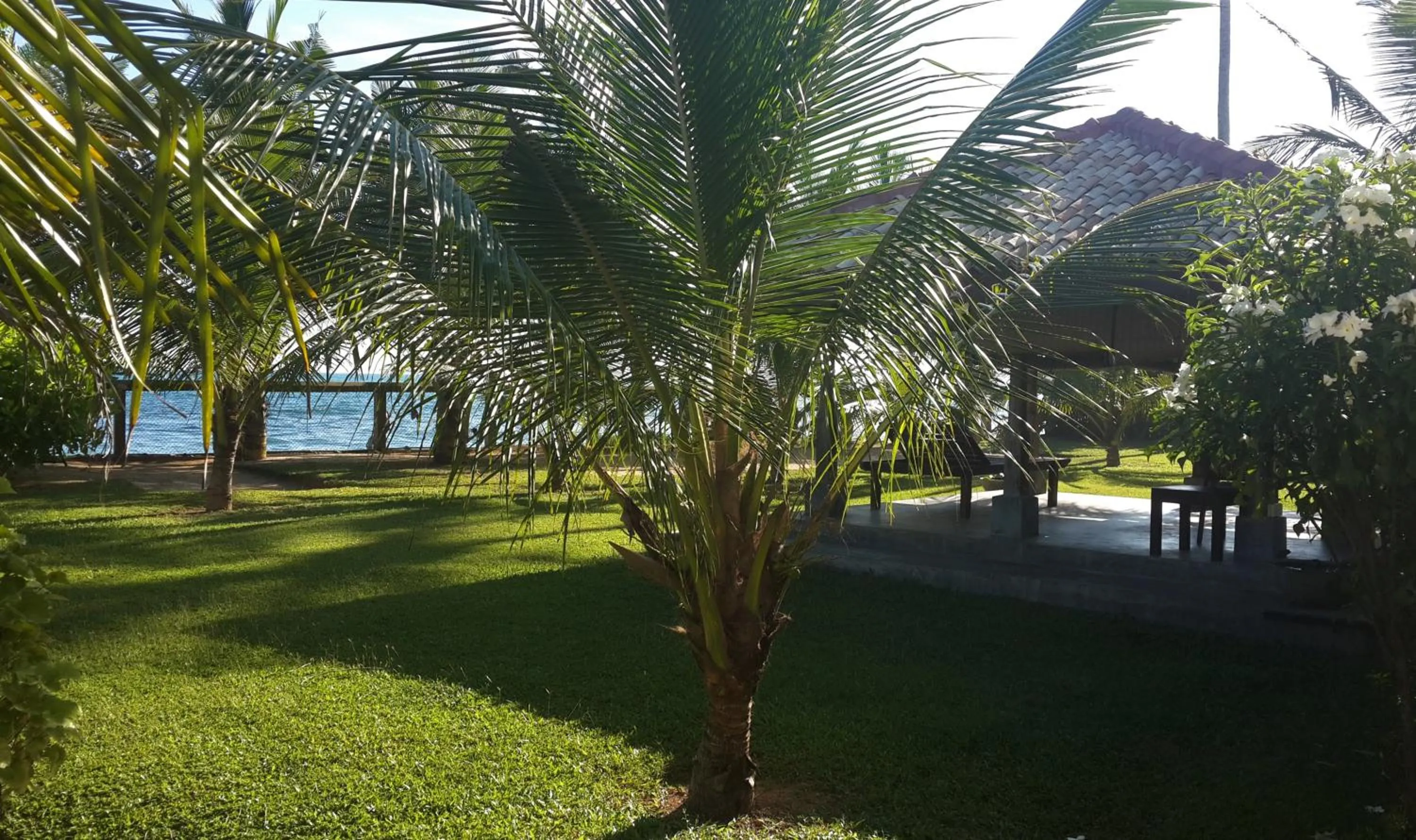 Garden in IMAGINE Villa Hotel