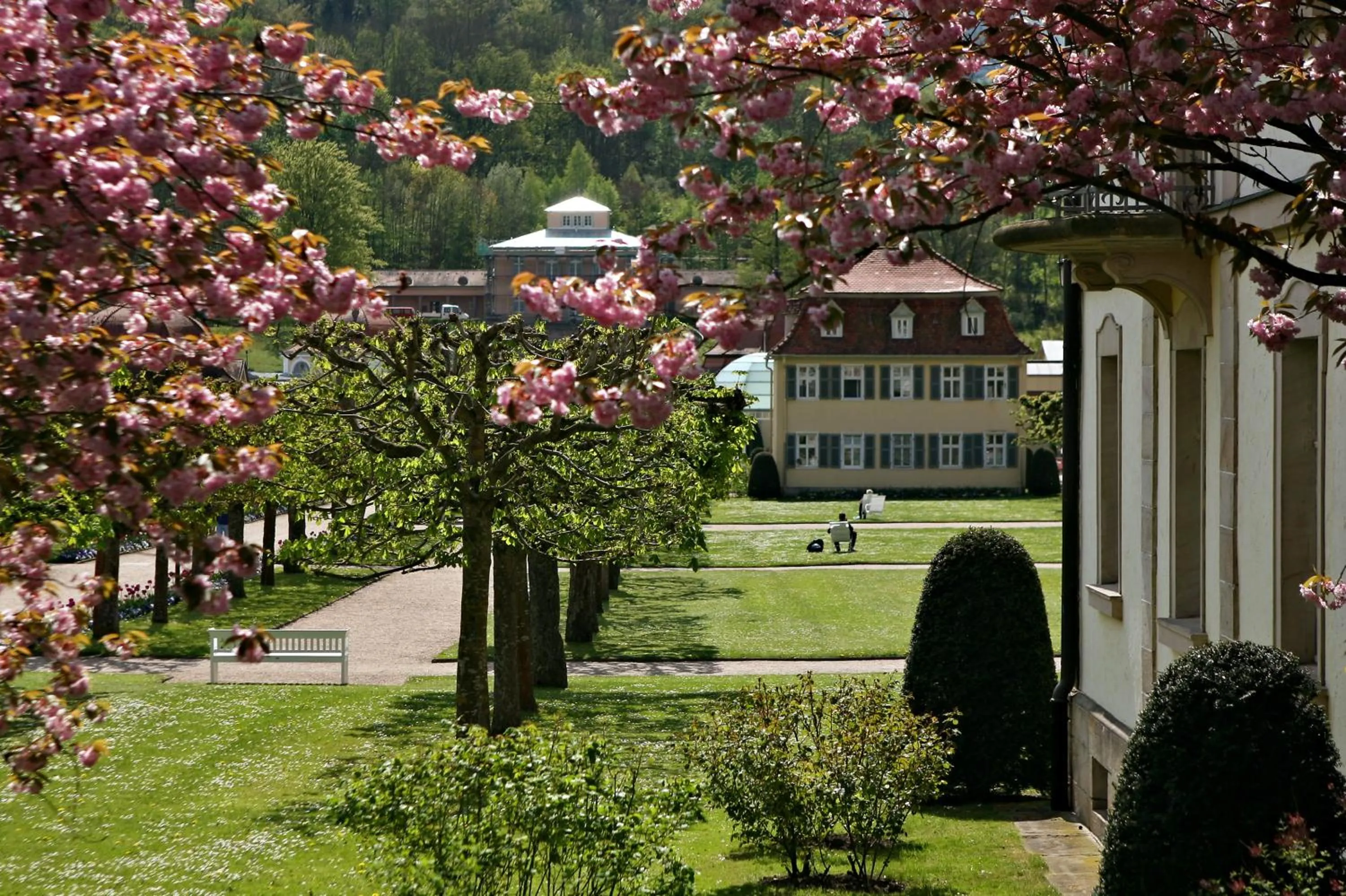 Neighbourhood in Badhotel Bad Brückenau