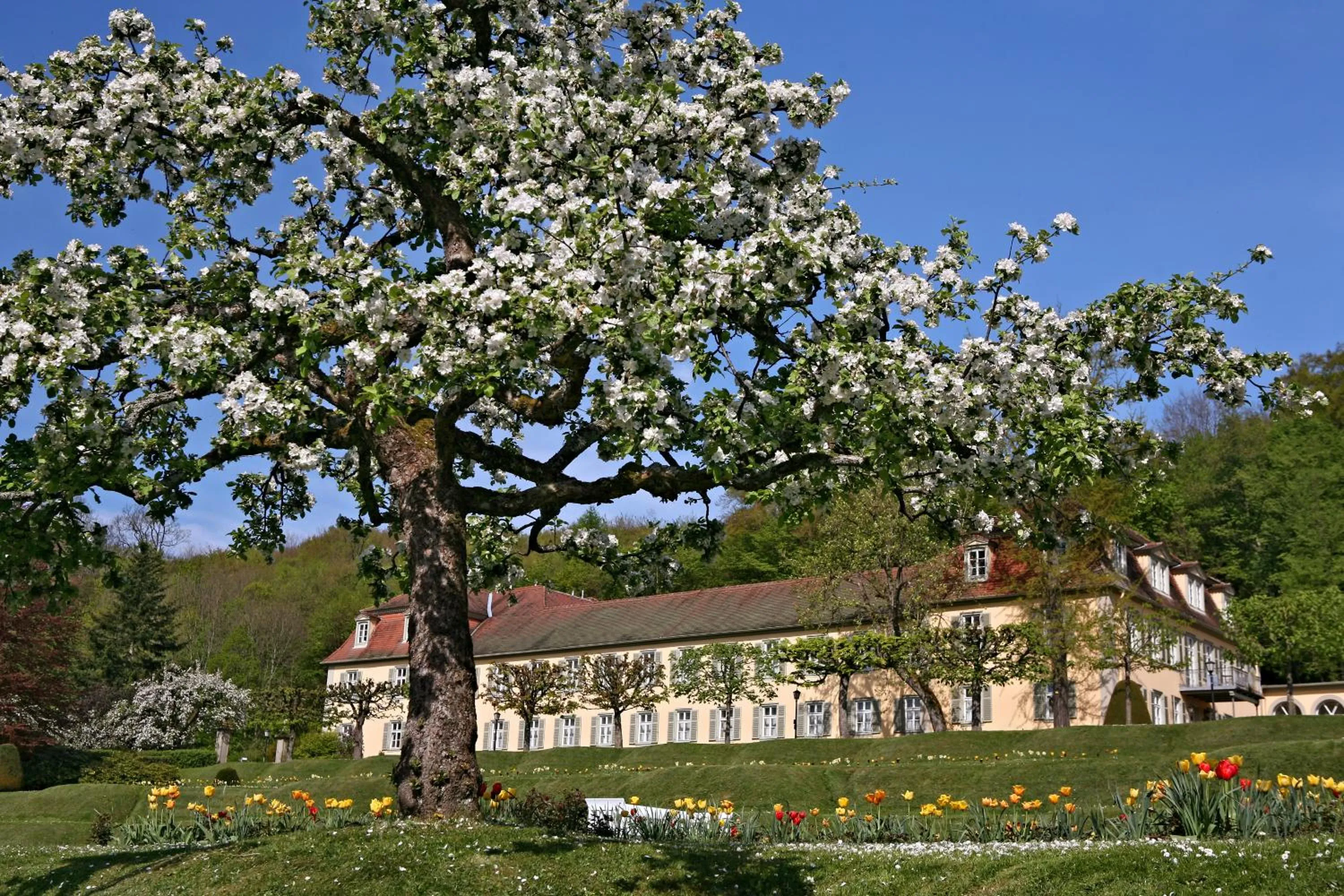 Garden in Badhotel Bad Brückenau