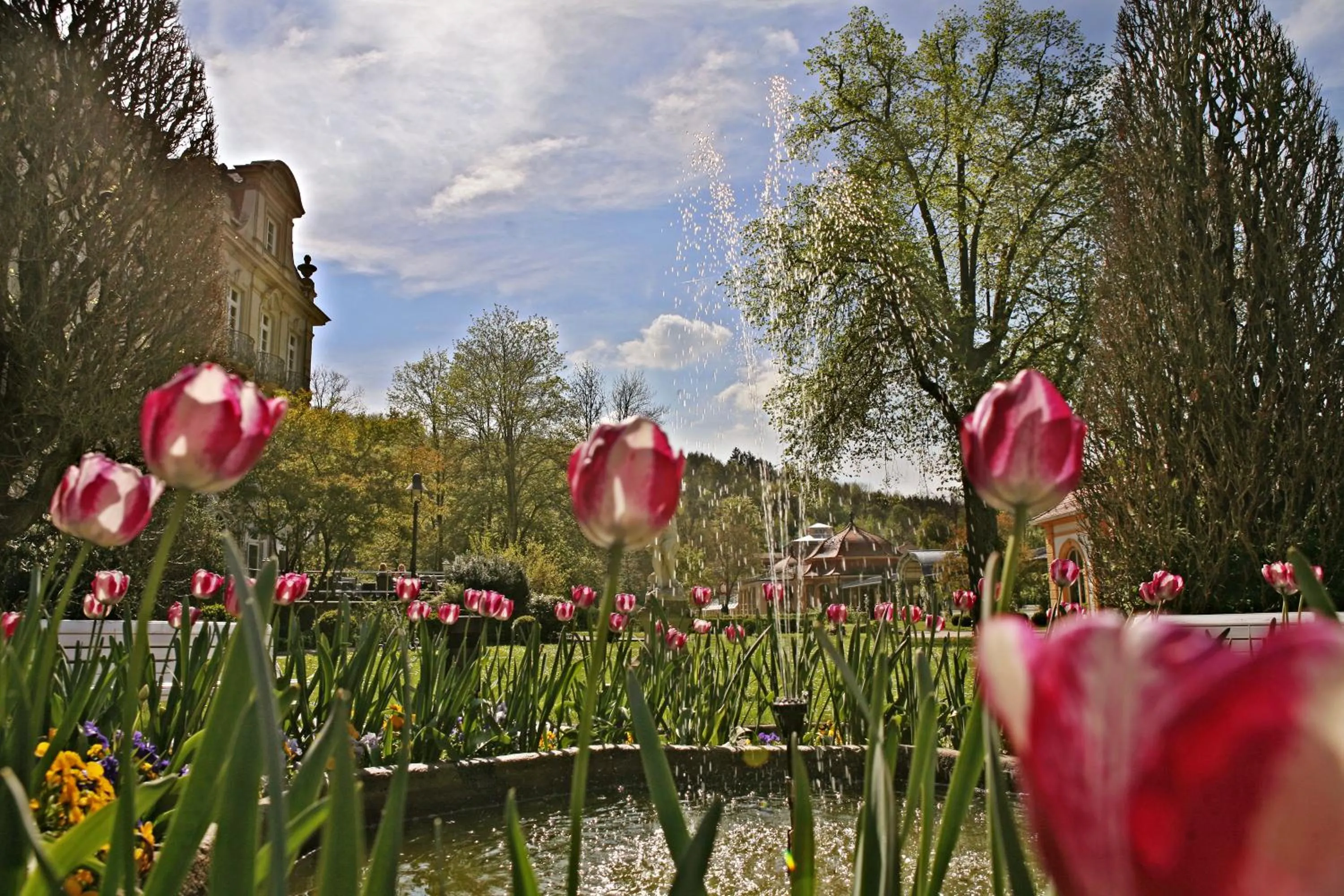 Garden in Badhotel Bad Brückenau