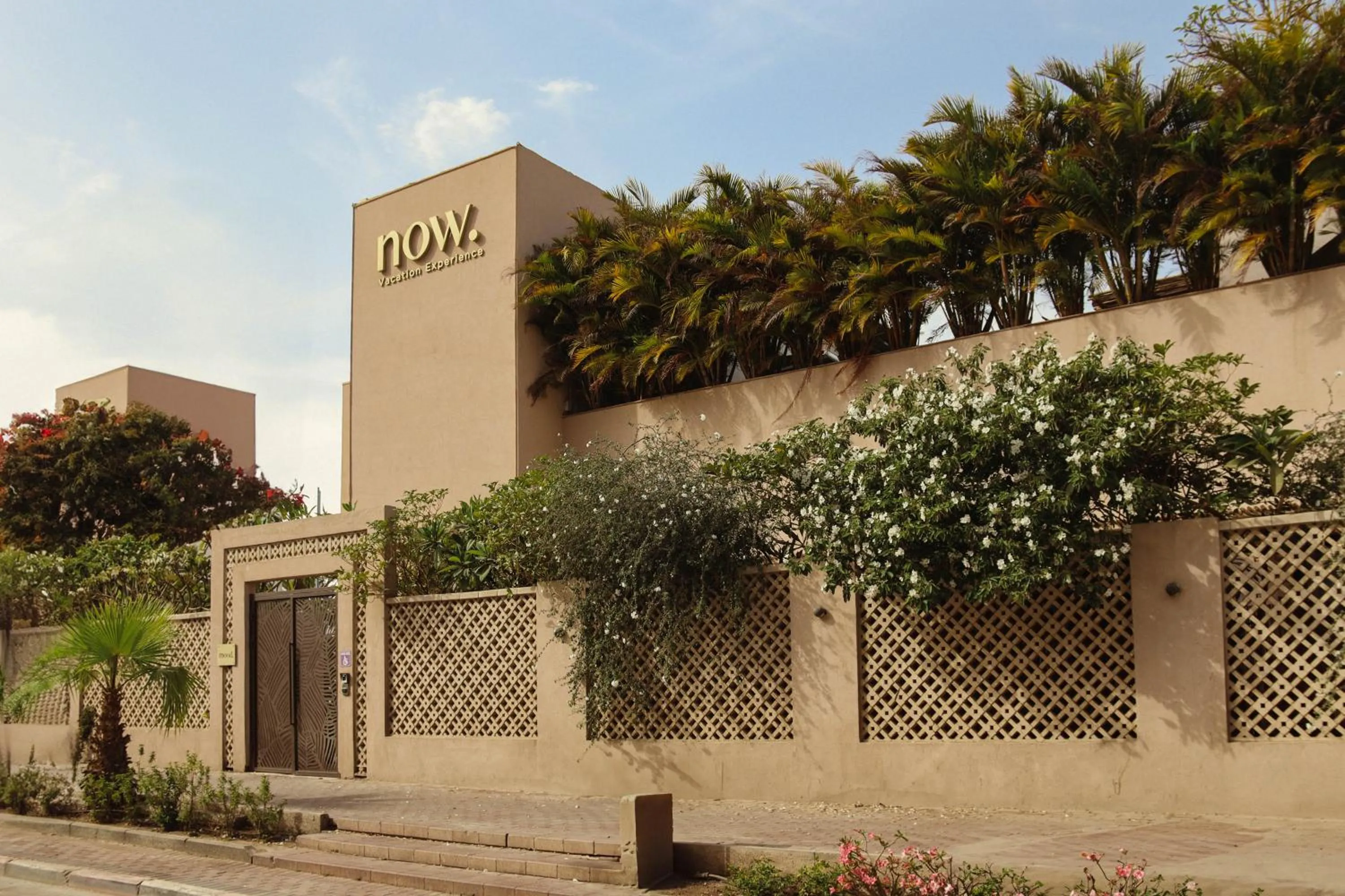 Property building in NOW-VX adults only