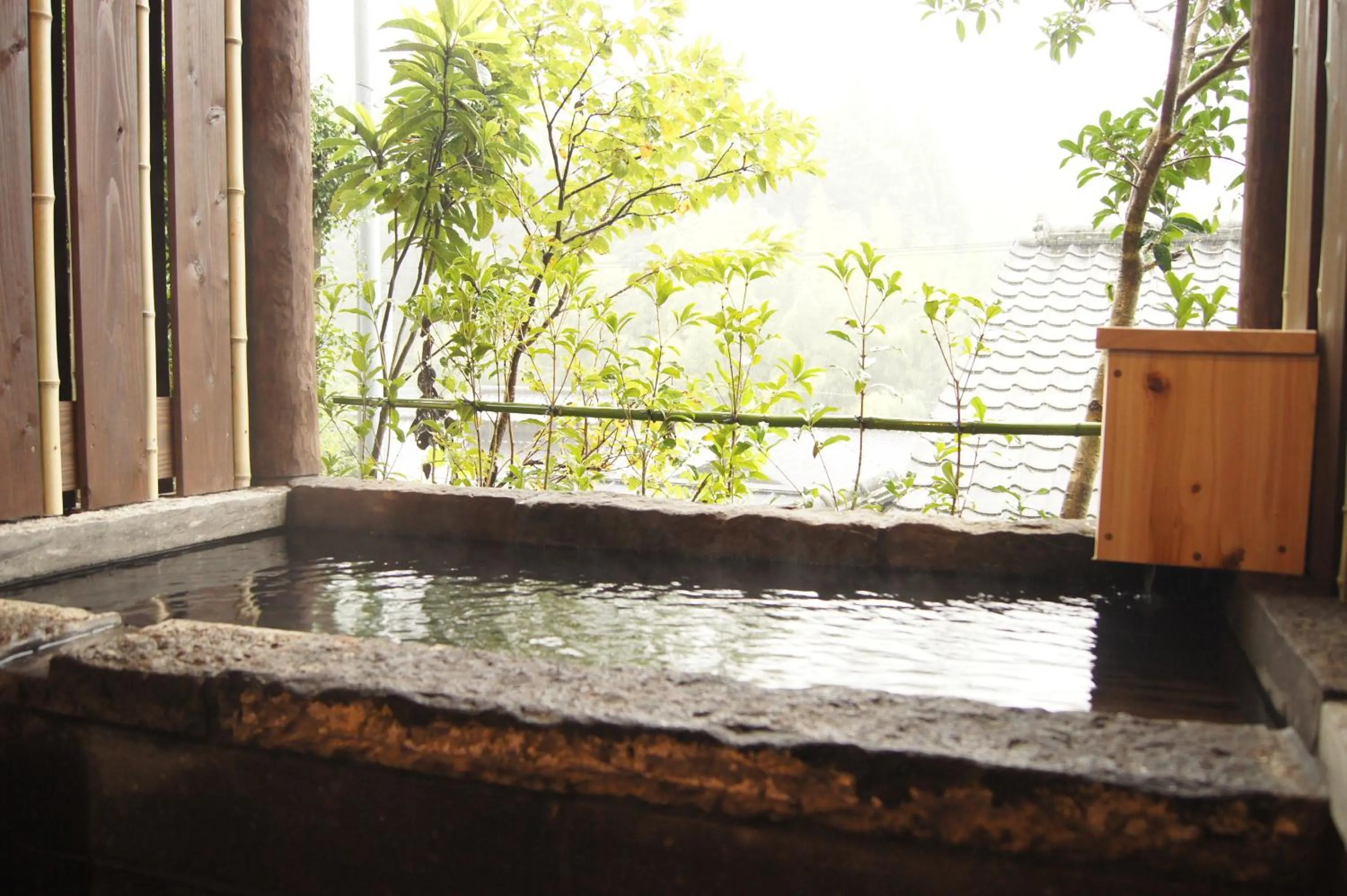 Hot Spring Bath in Fumoto Ryokan