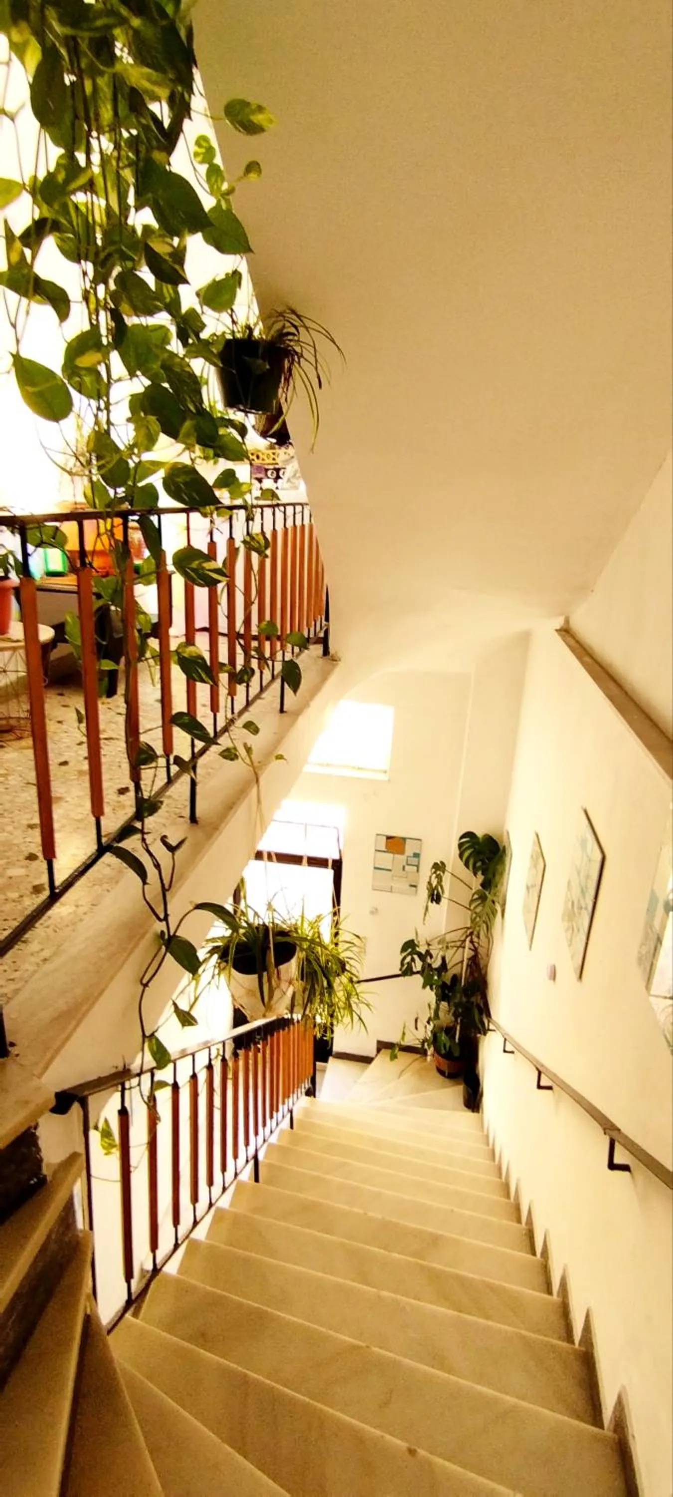 Cozy room in quiet neighbourhood