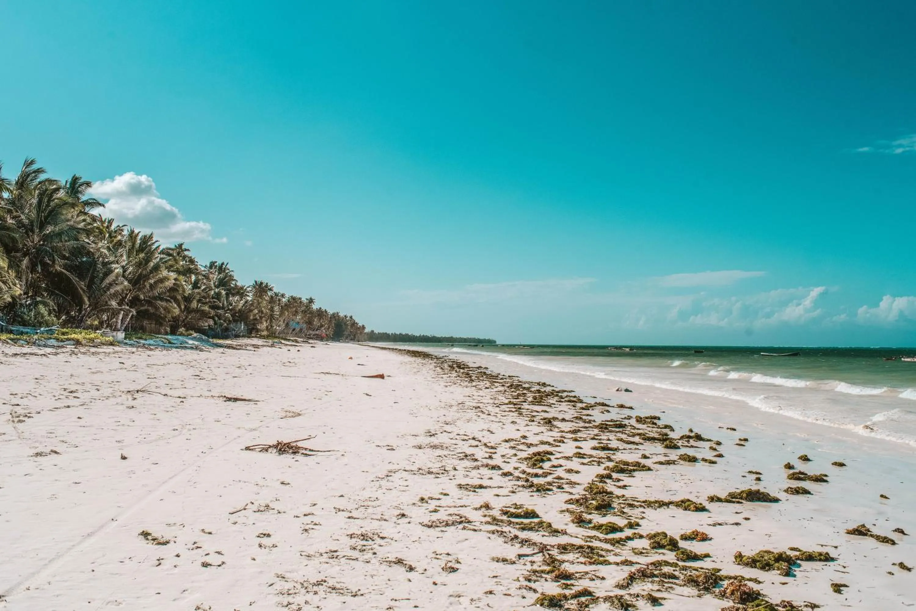 Beach in Zanzibar Gem Beach Bungalows