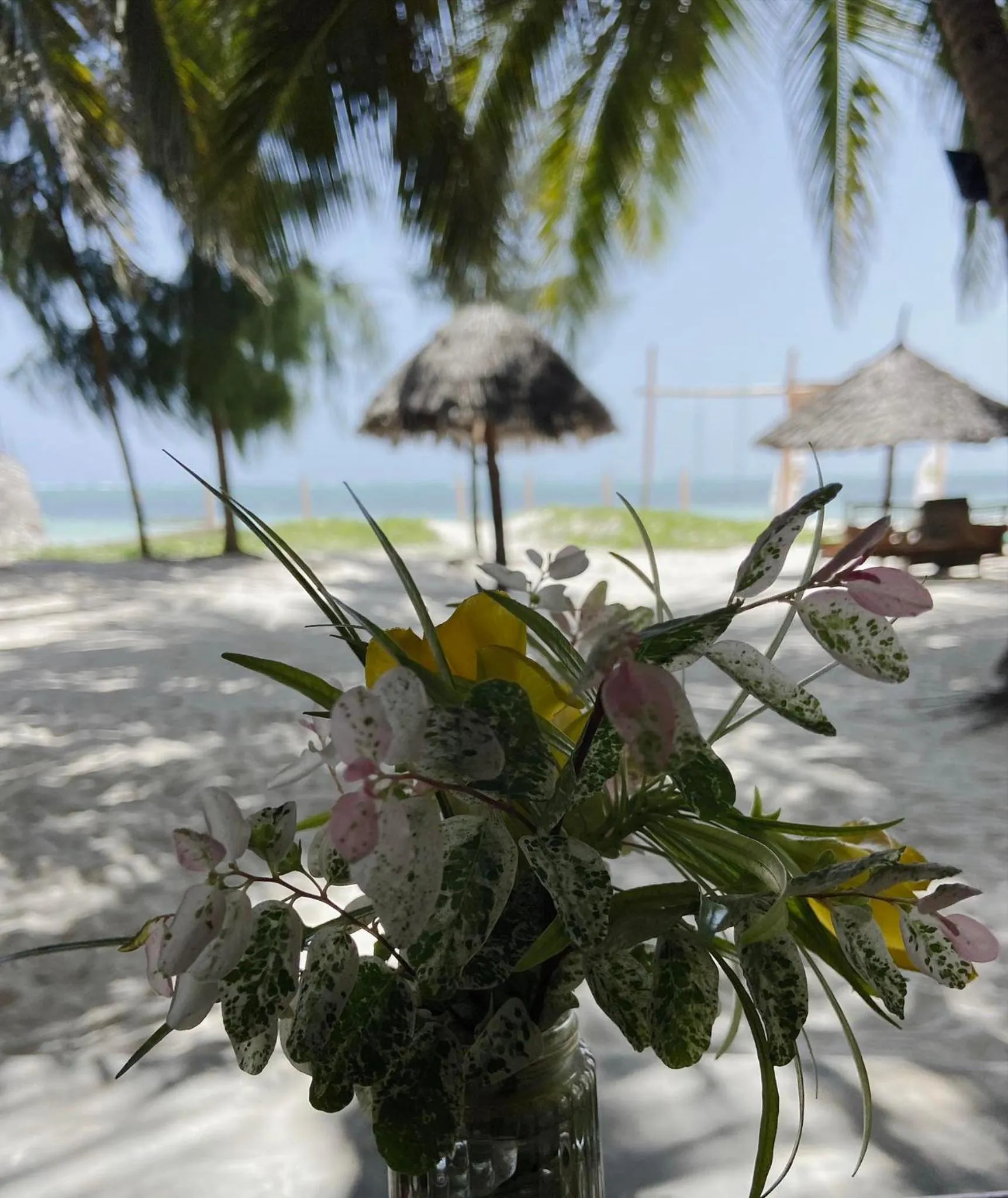 Beach in Zanzibar Gem Beach Bungalows