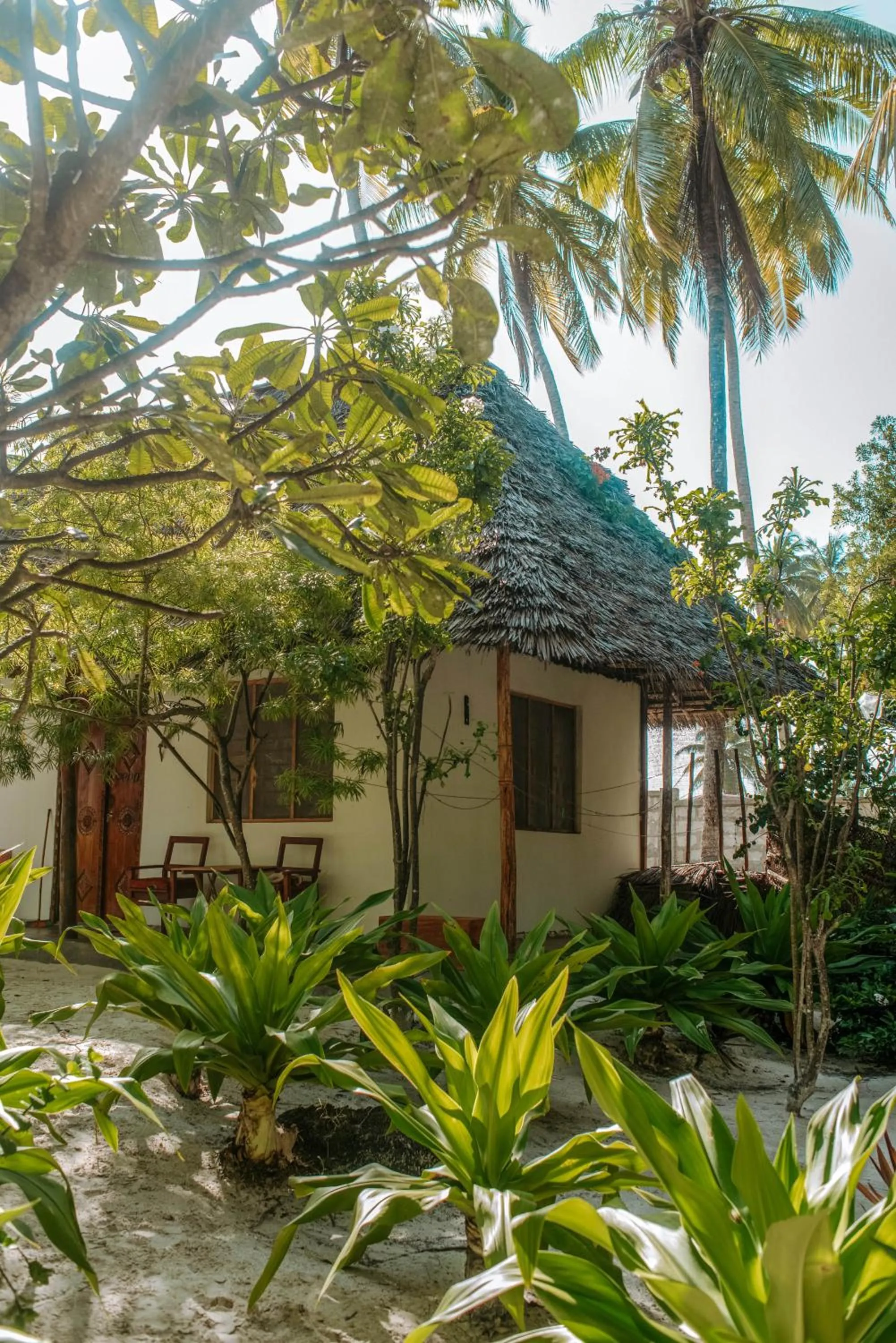 Garden in Zanzibar Gem Beach Bungalows