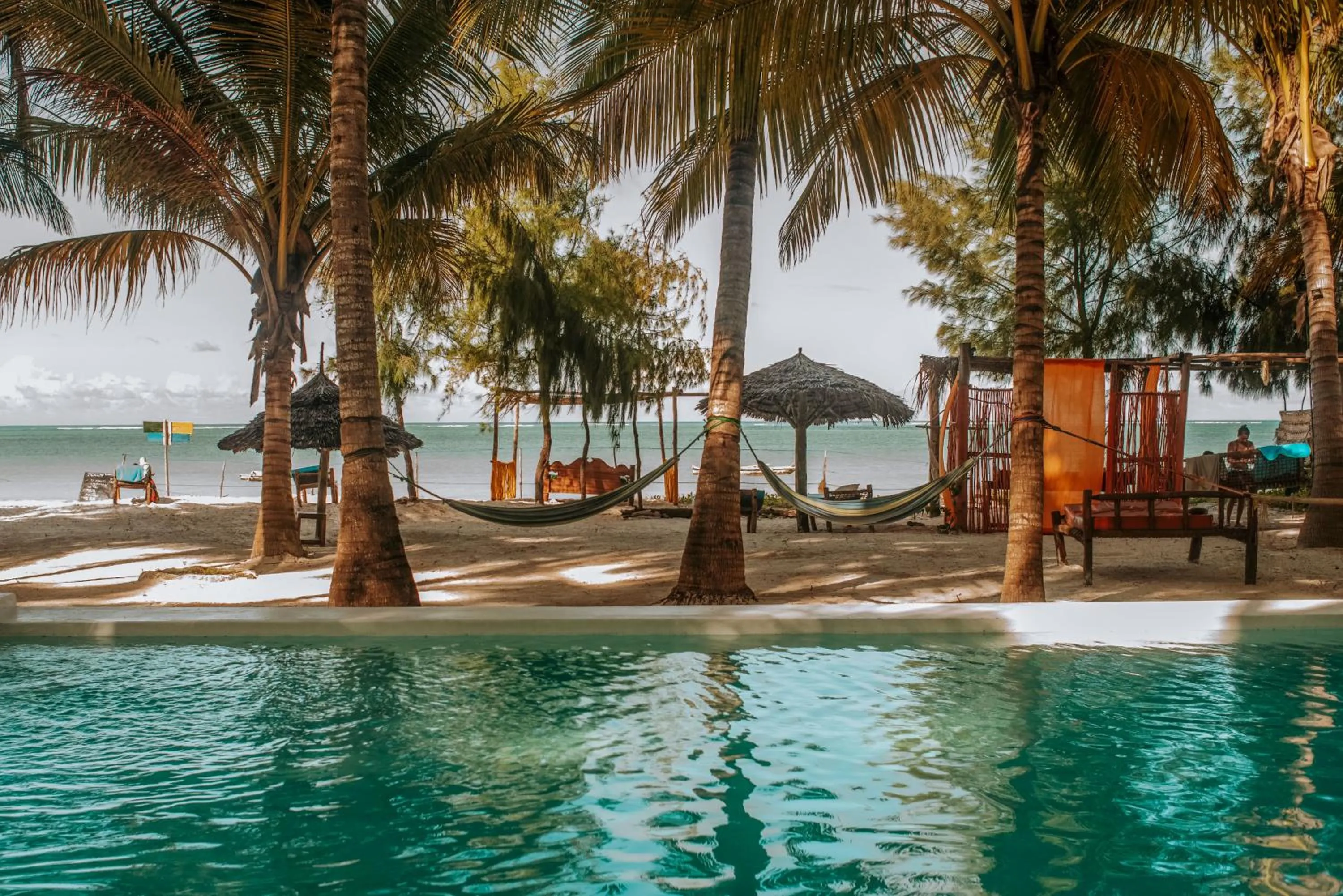 Garden in Zanzibar Gem Beach Bungalows