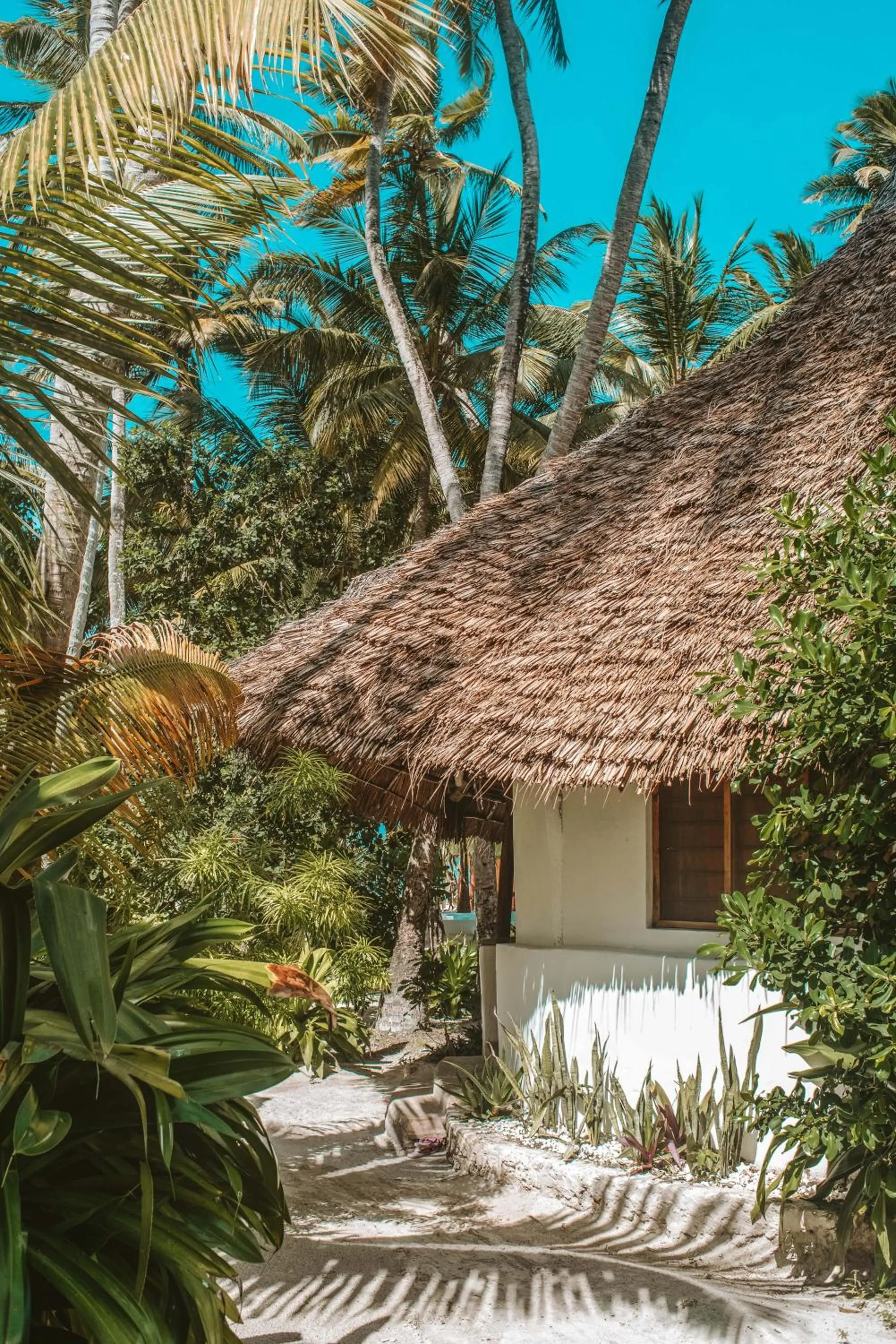 Property building in Zanzibar Gem Beach Bungalows