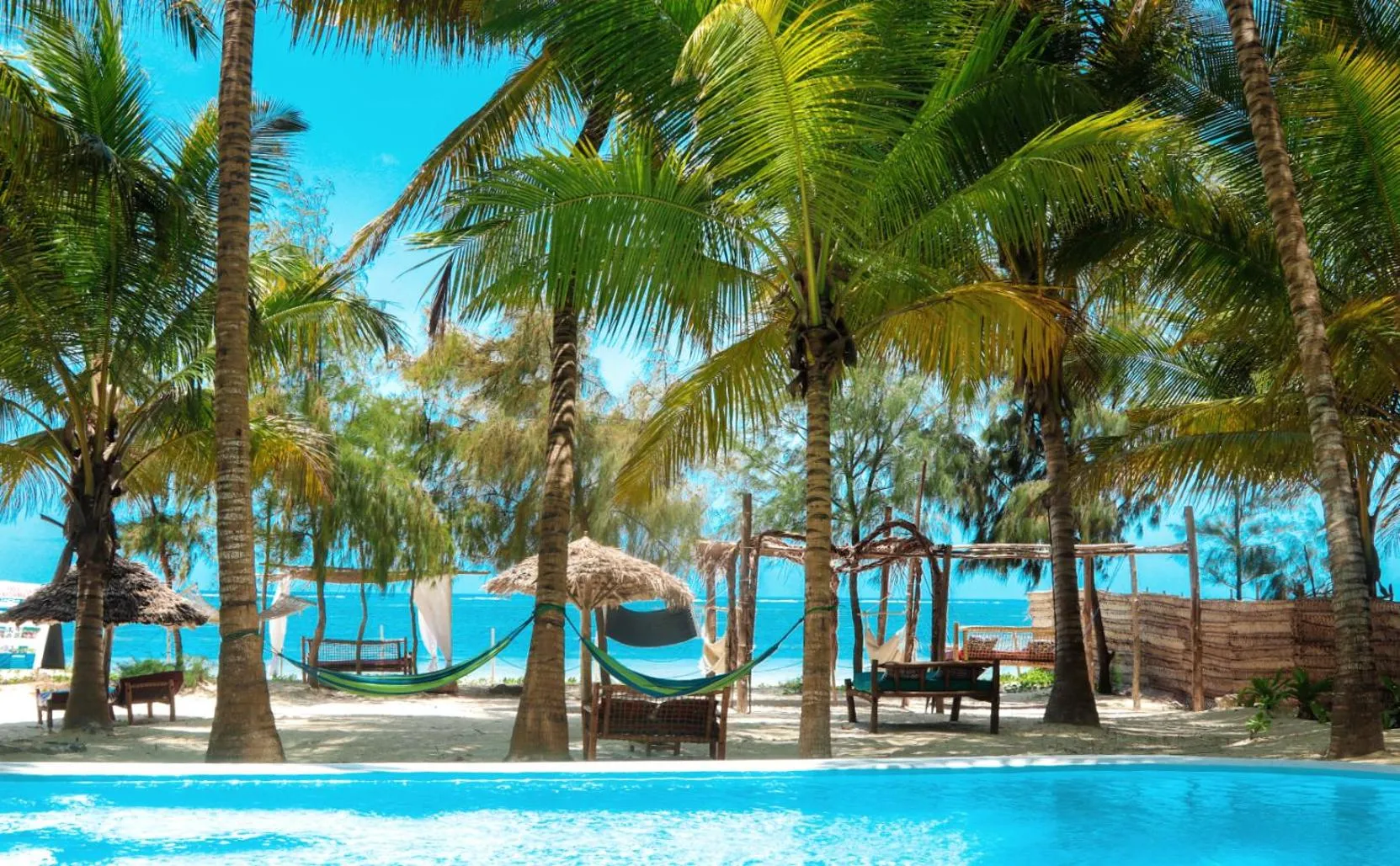 Garden in Zanzibar Gem Beach Bungalows
