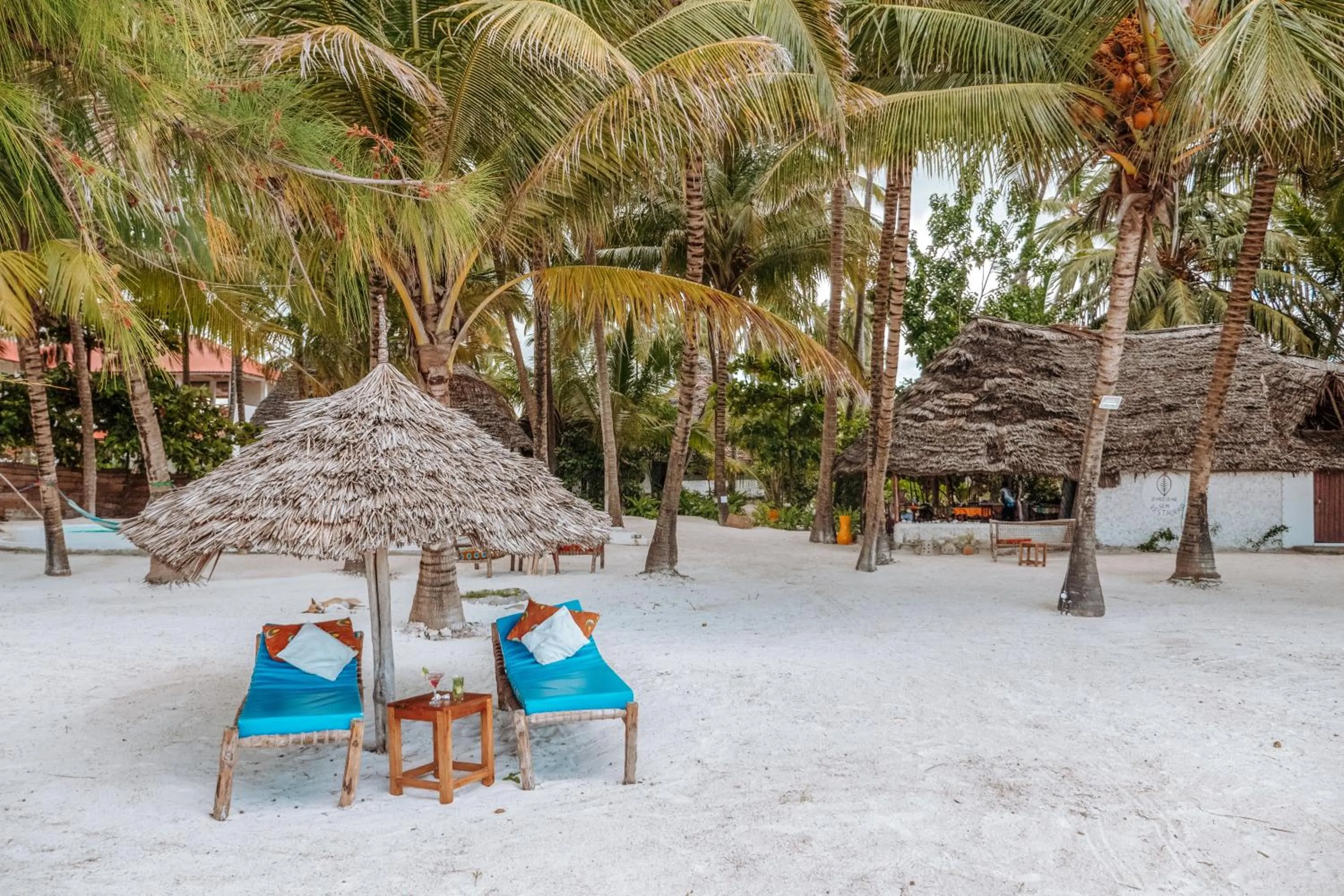 Restaurant/places to eat in Zanzibar Gem Beach Bungalows