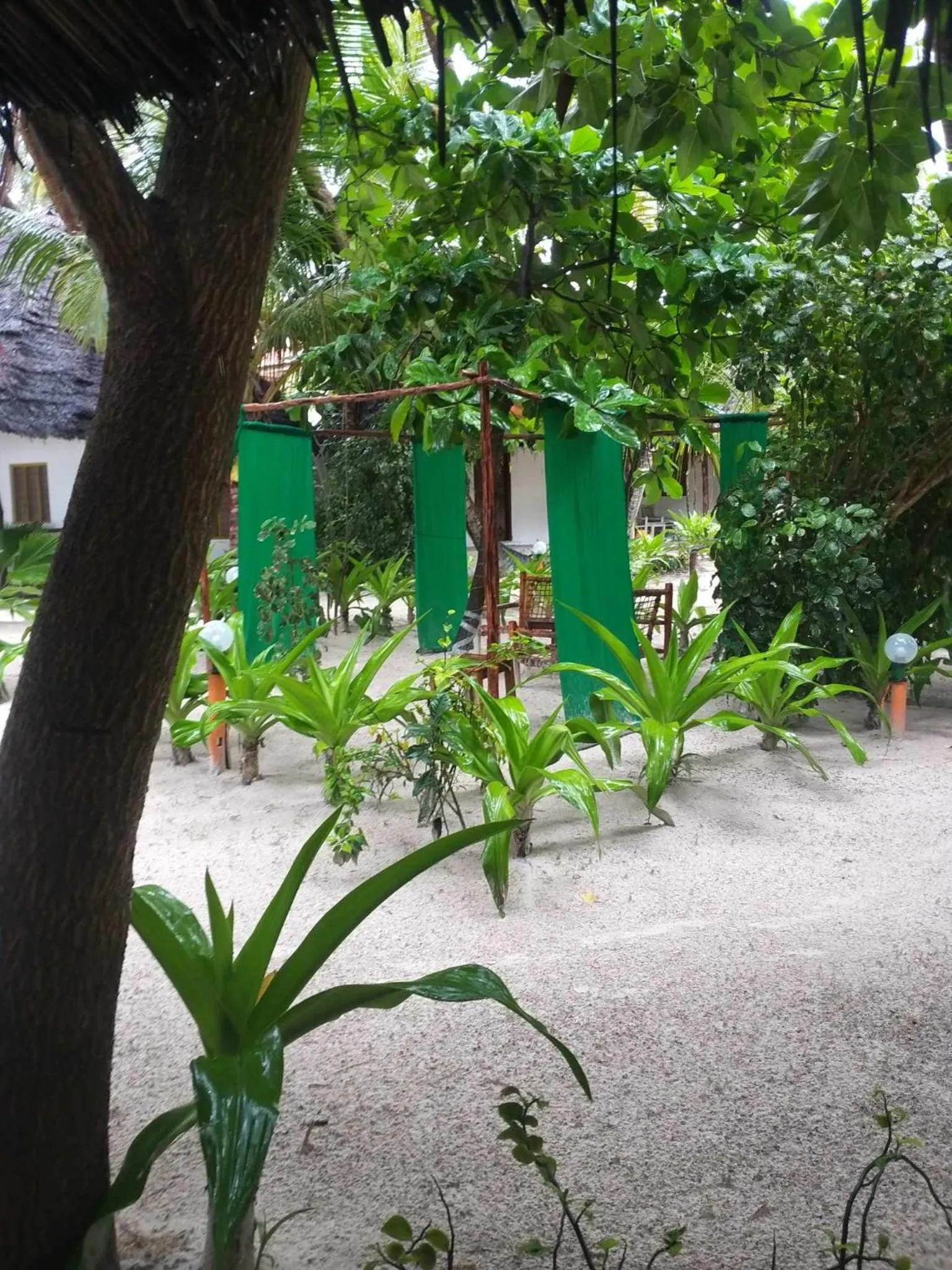 Day in Zanzibar Gem Beach Bungalows