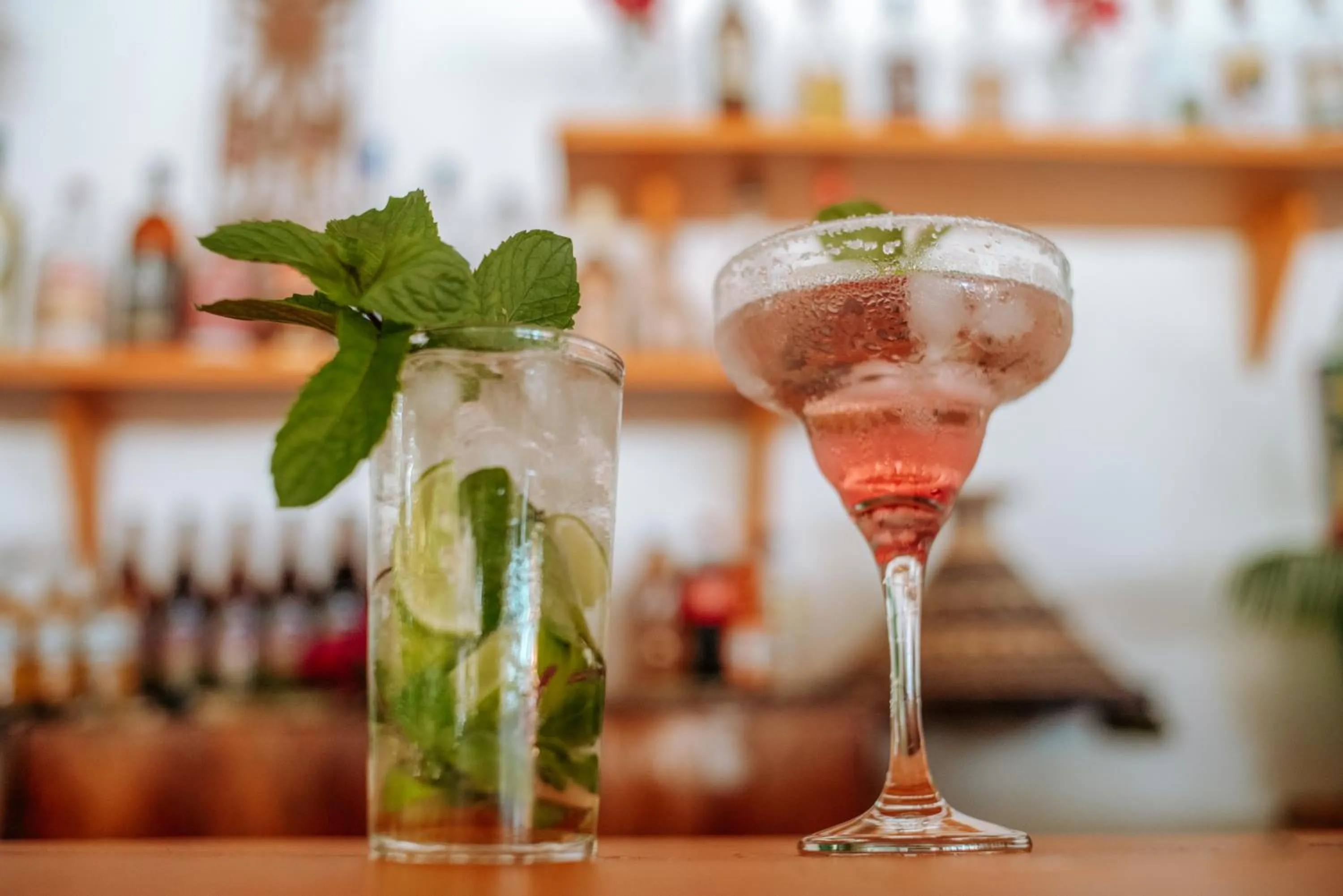 Lounge or bar in Zanzibar Gem Beach Bungalows