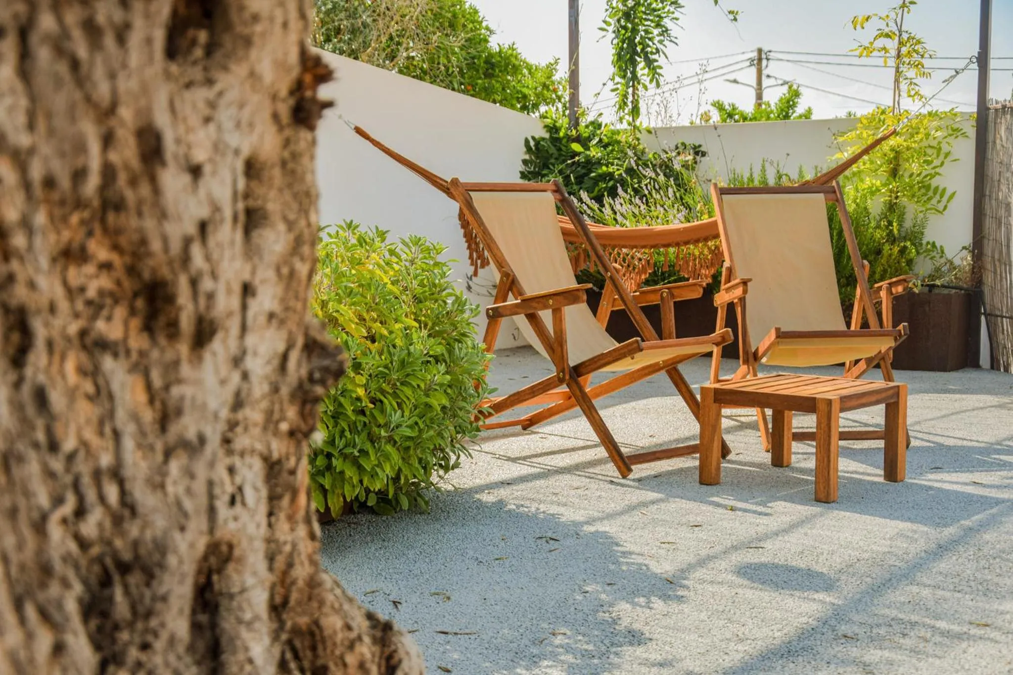 Garden in São Brás do Regedouro - Turismo na Aldeia