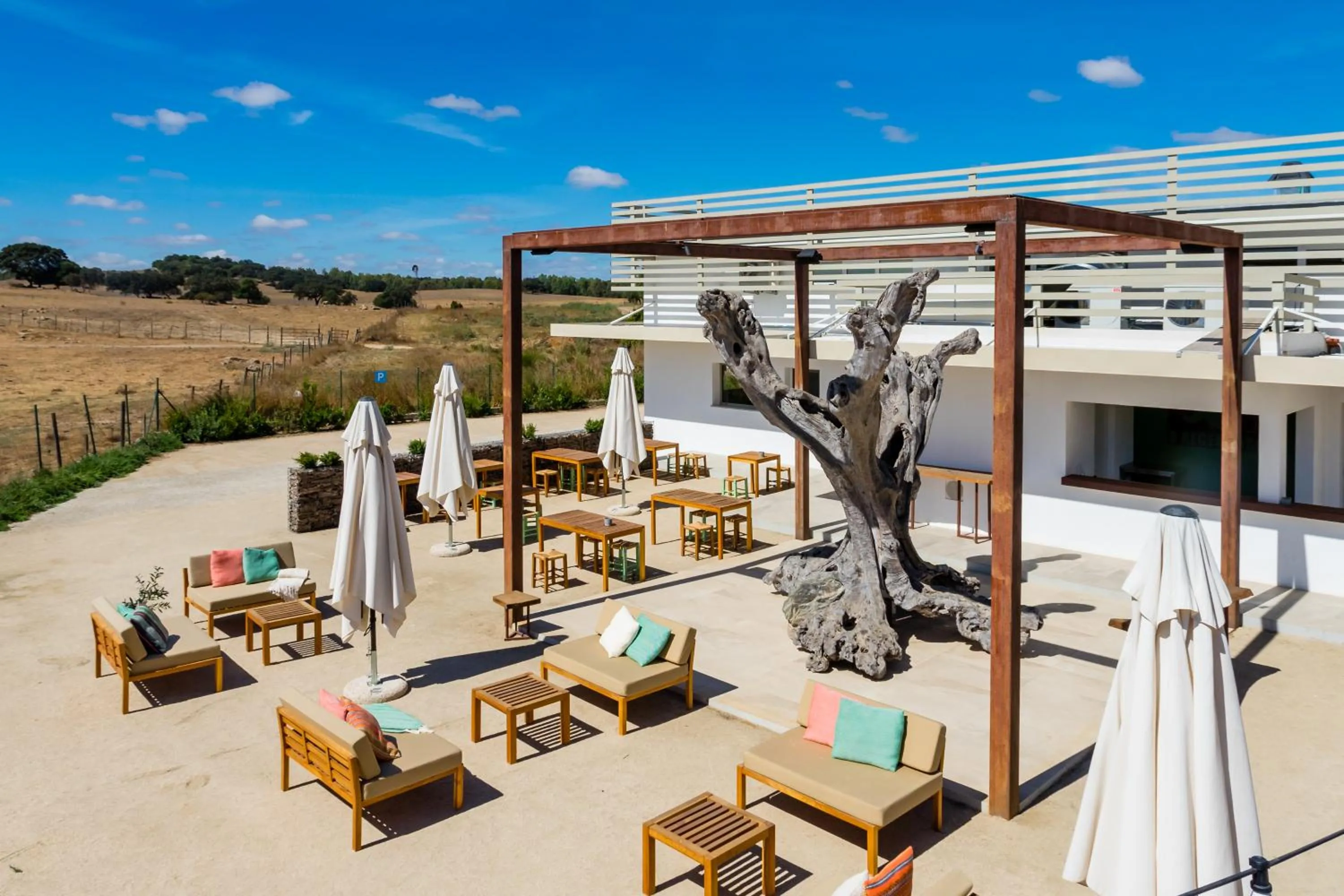 Bird's eye view in São Brás do Regedouro - Turismo na Aldeia