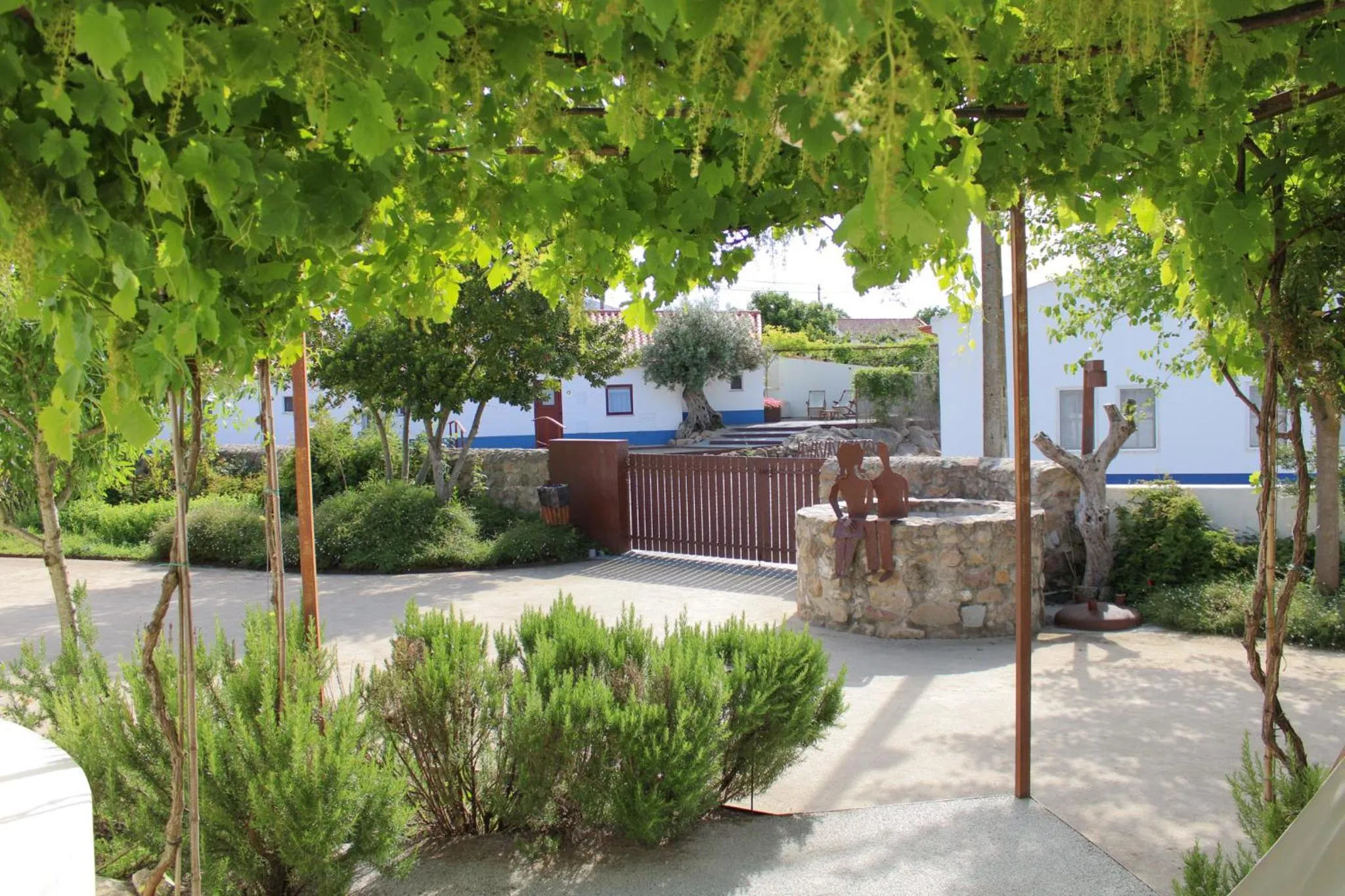 Garden view in São Brás do Regedouro - Turismo na Aldeia