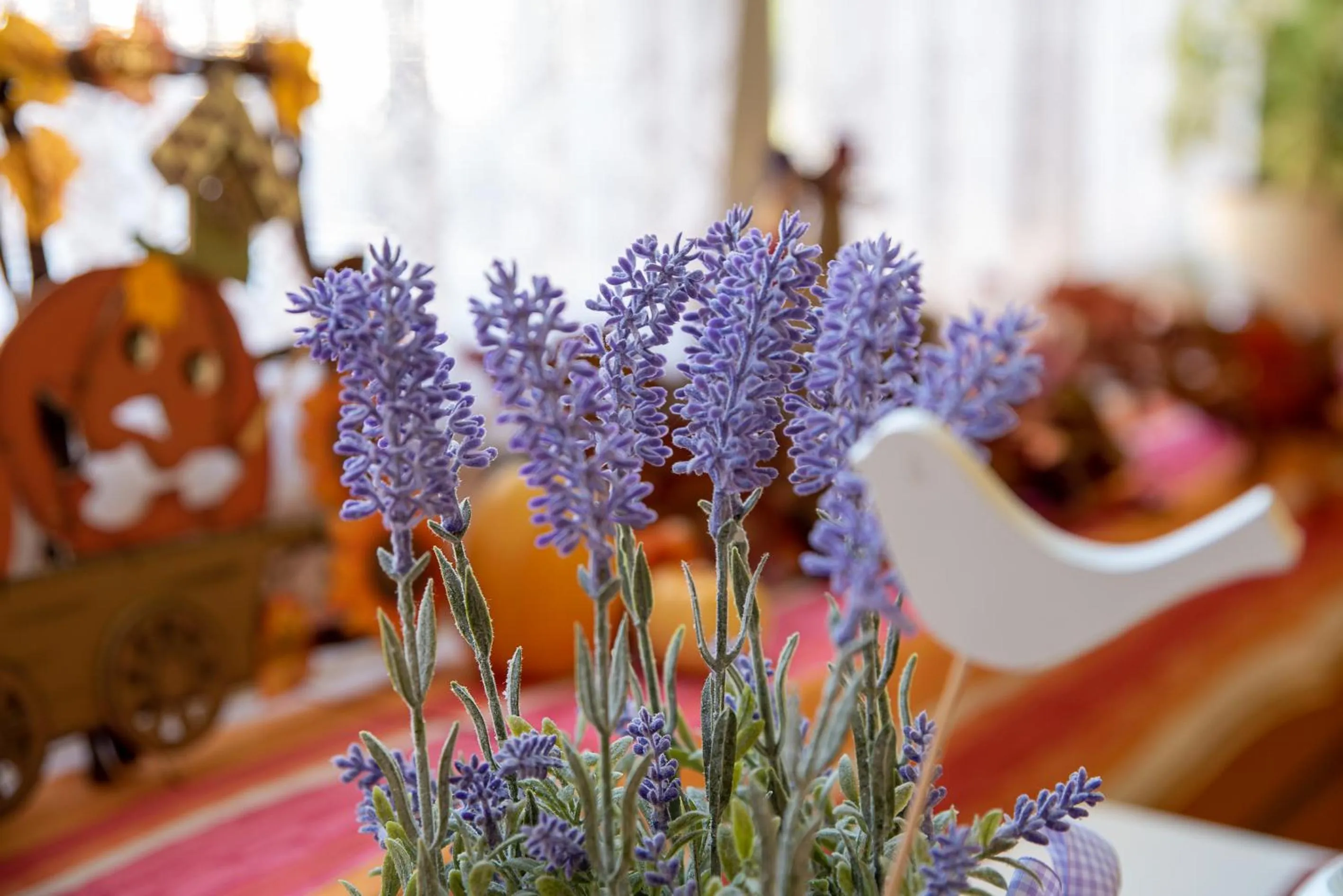 Autumn in Hotel Mainperle