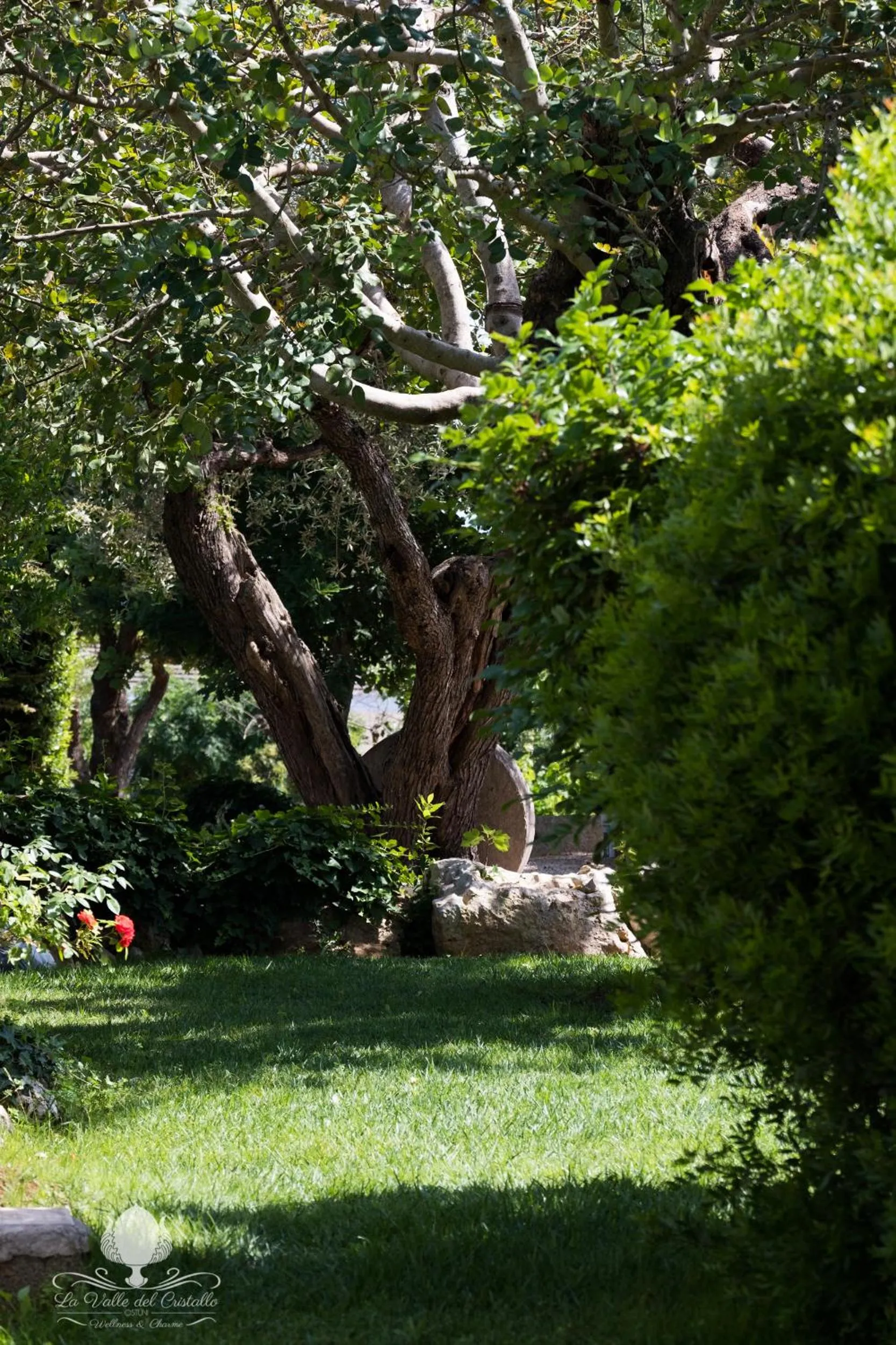 La Valle Del Cristallo Wellness & Charme