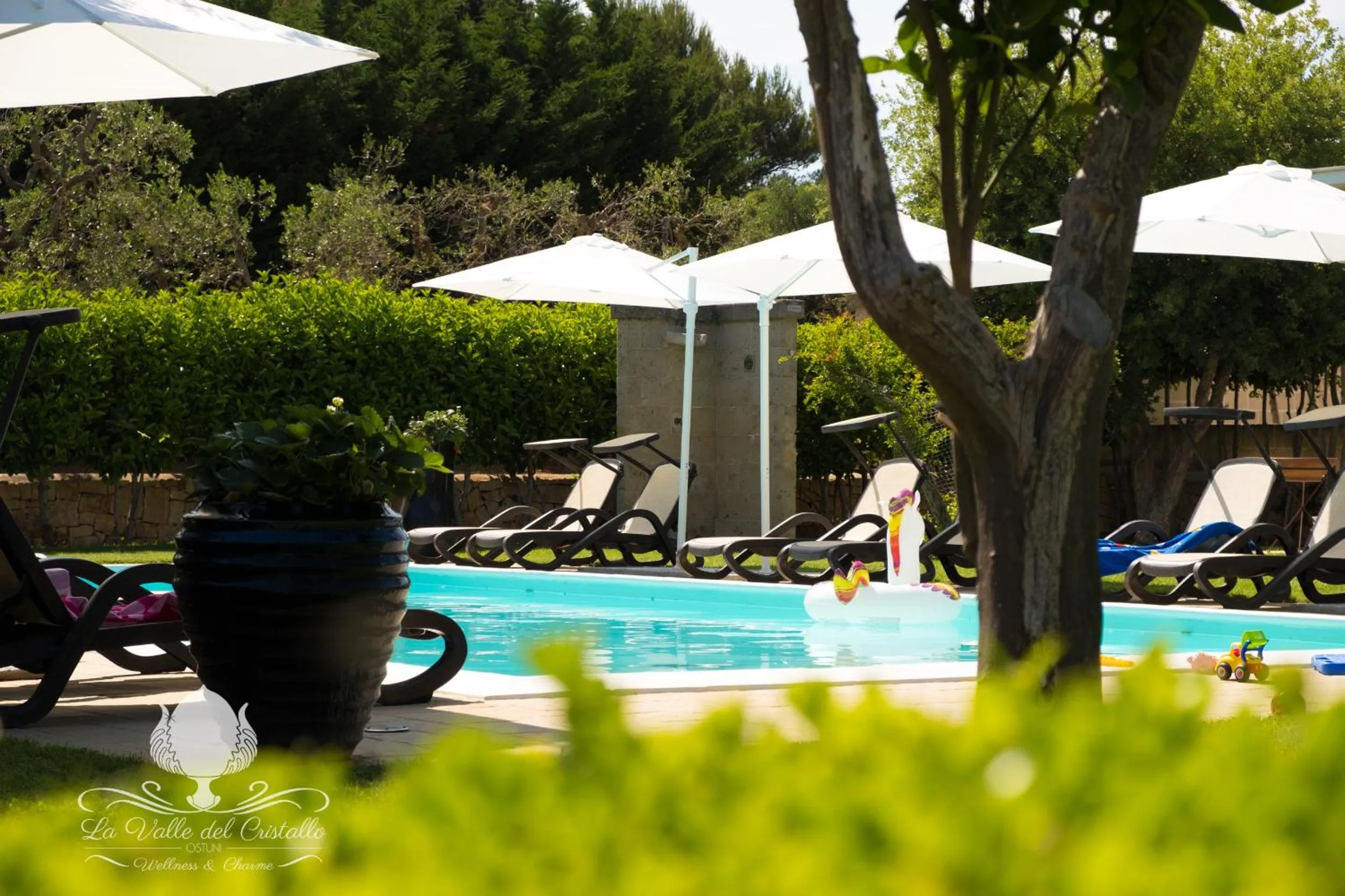 Swimming pool in La Valle Del Cristallo Wellness & Charme