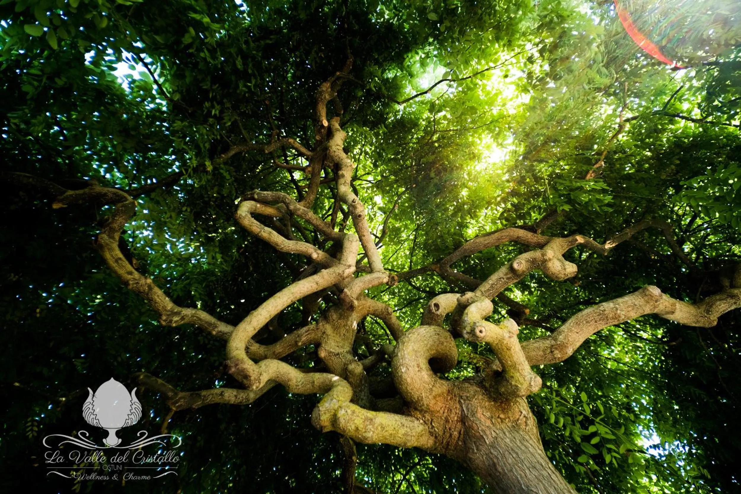 La Valle Del Cristallo Wellness & Charme