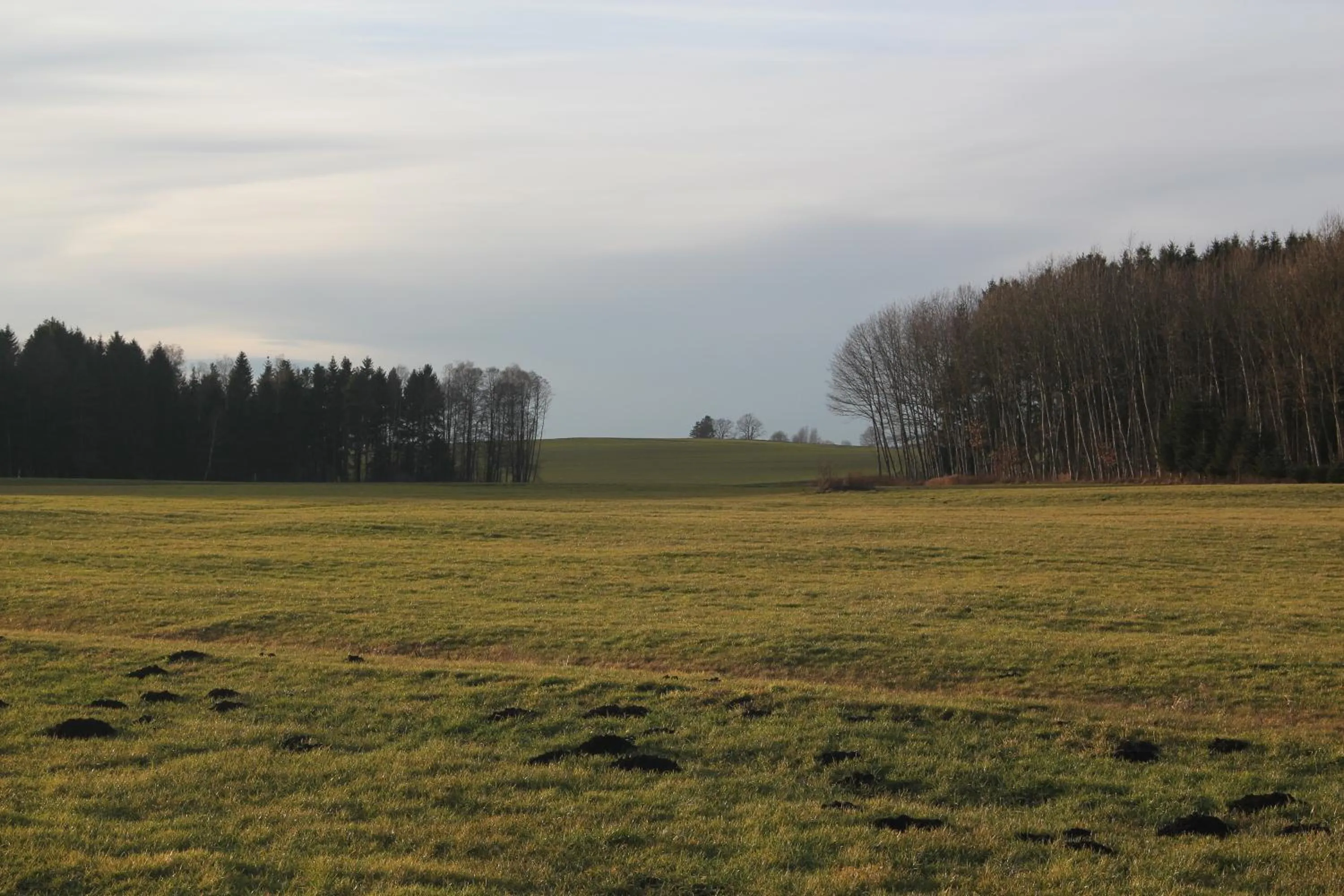 Natural landscape in Gasthof Landhotel Hirsch